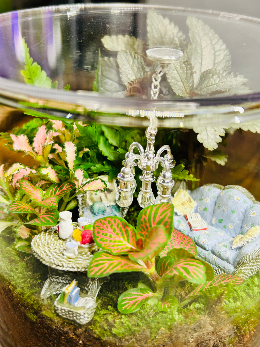 Luxury Living Room Terrarium Gift | Handmade Miniature Garden for Living Room Decor Sydney