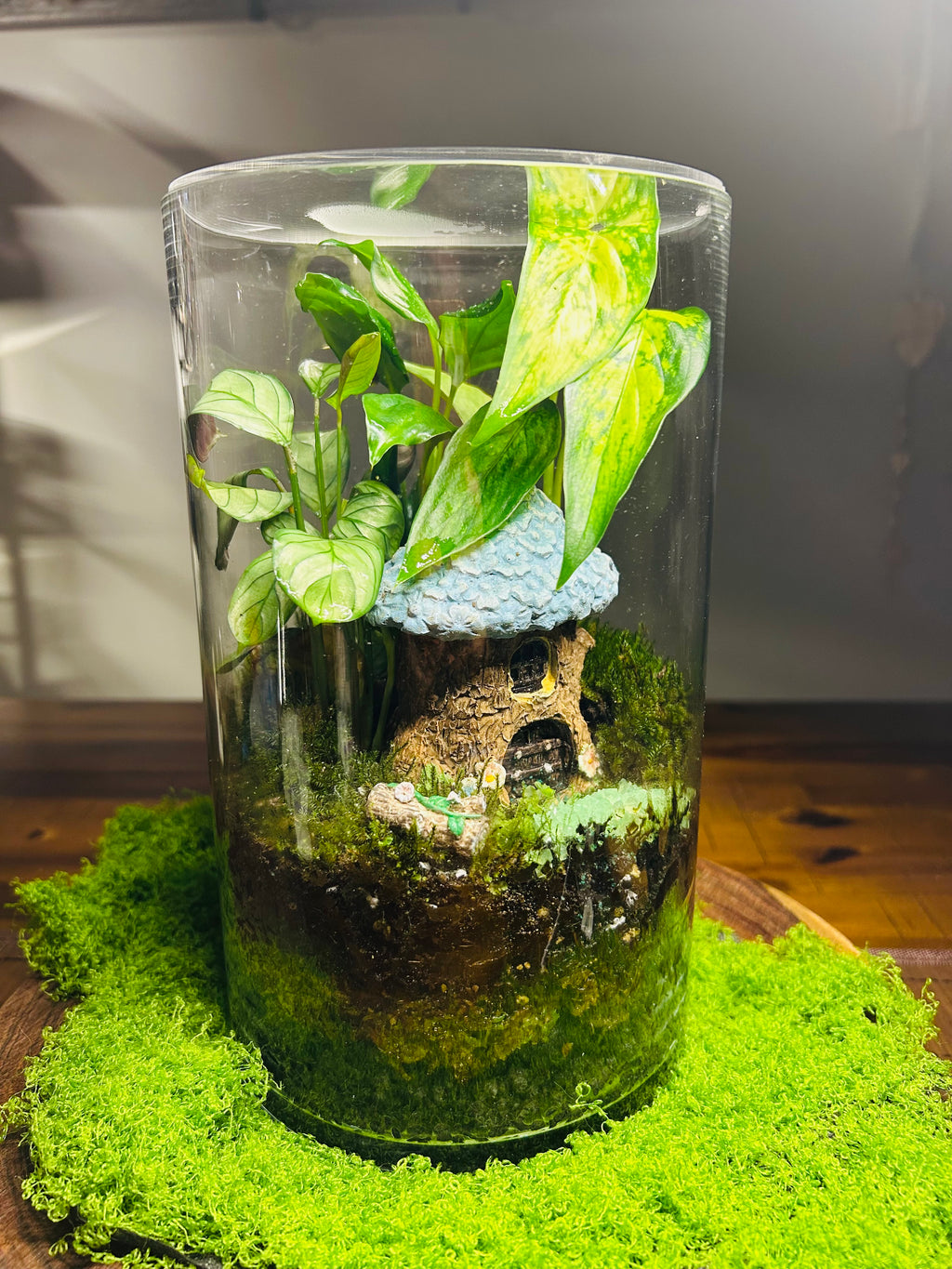 Glowing Cottage Terrarium- Handmade Miniature Garden with Glowing Pebbles Sydney