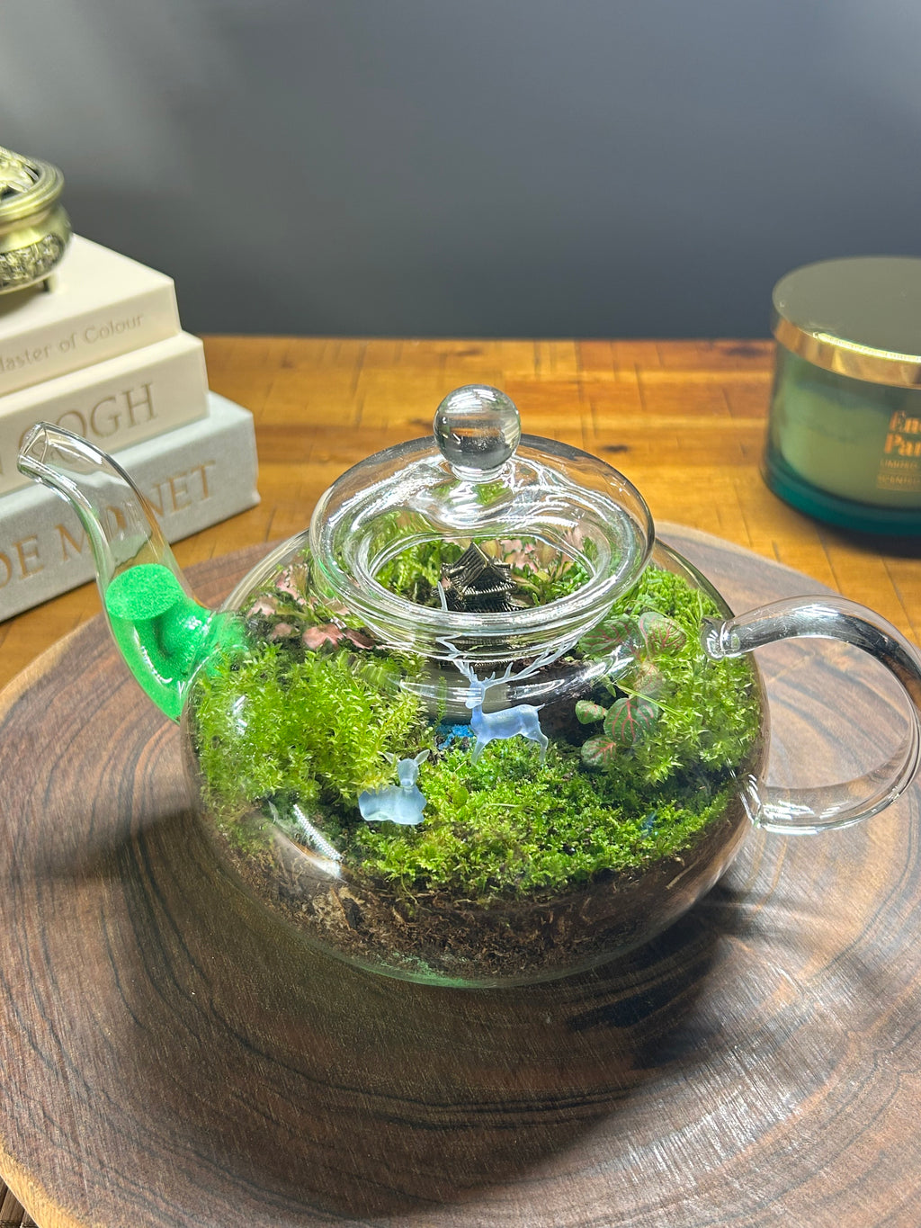 Whispers of Serenity: A Living Miniature World in a Glass Teapot