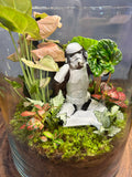 Stormtrooper’s Peaceful Escape | Handmade Terrarium | Terra Vera