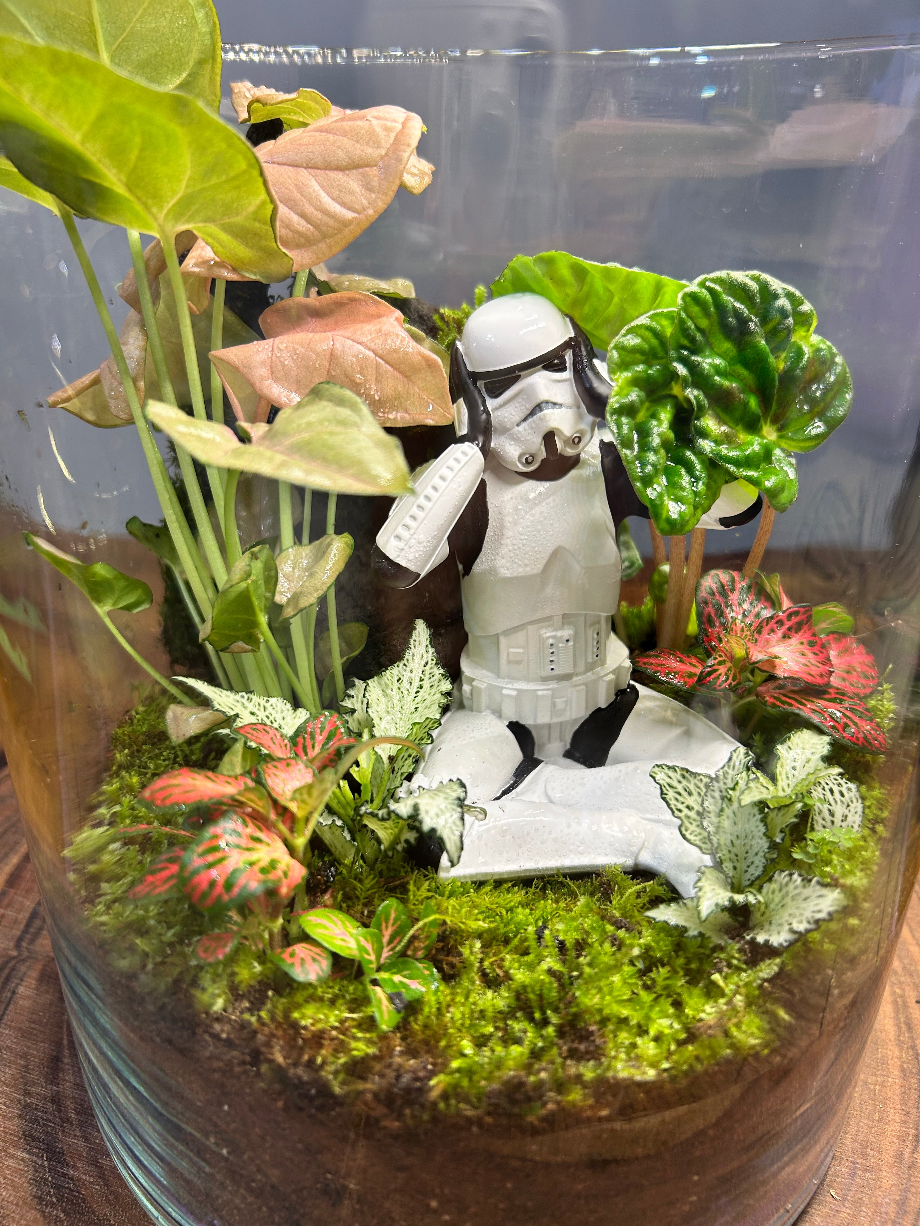 Stormtrooper’s Peaceful Escape | Handmade Terrarium | Terra Vera