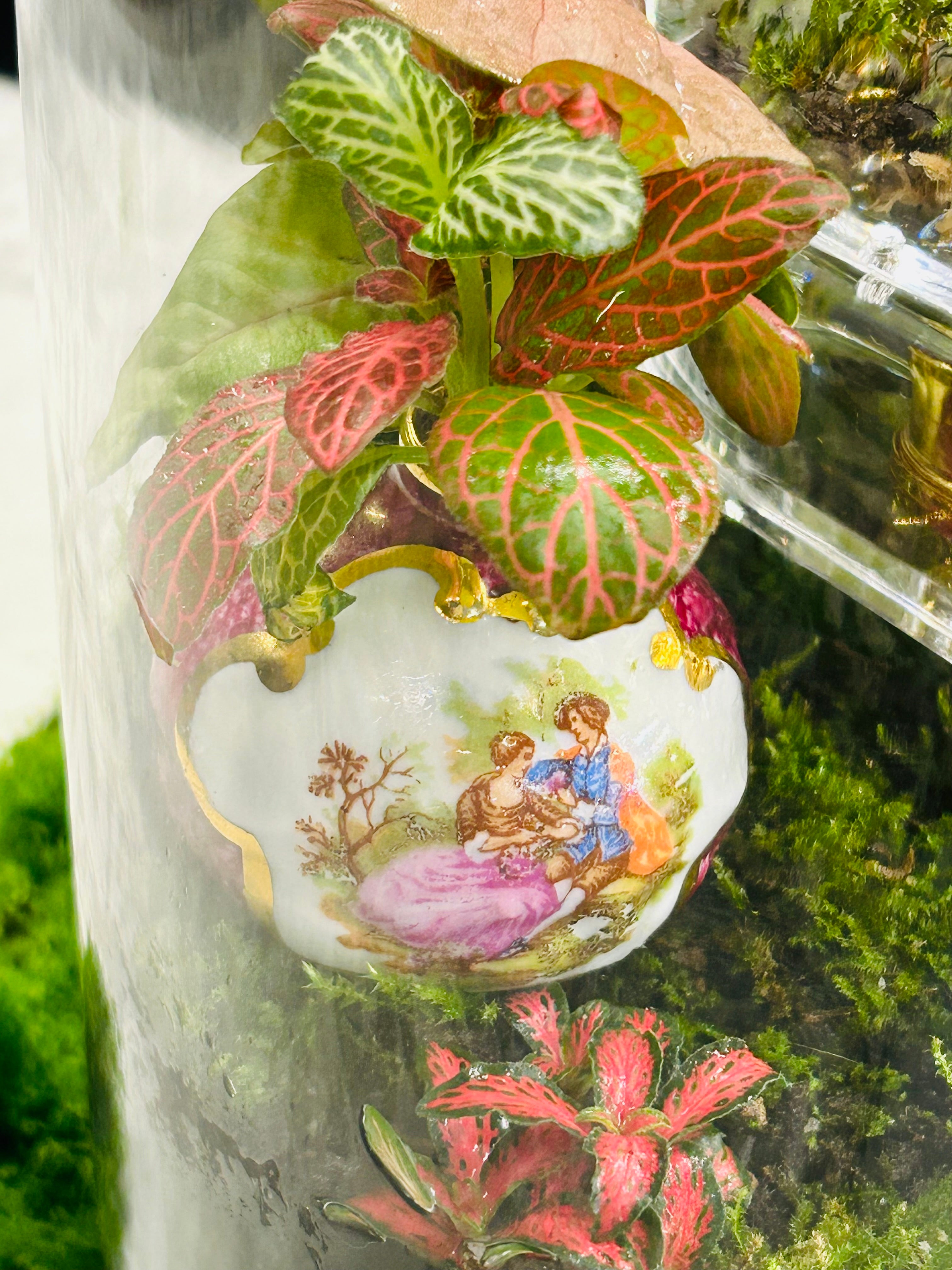 Melody of Time Terrarium