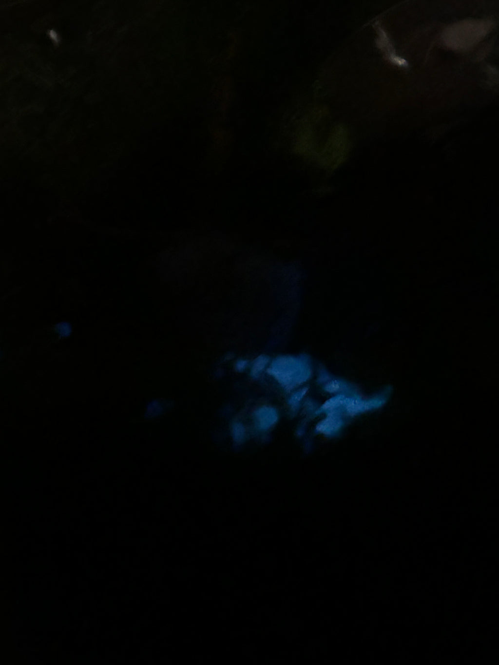 Antique Limoges Porcelain Basket Terrarium with Glowing Pink Pebbles