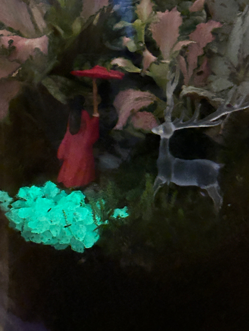 Lady in Red & Buddha Glow in the Dark Terrarium