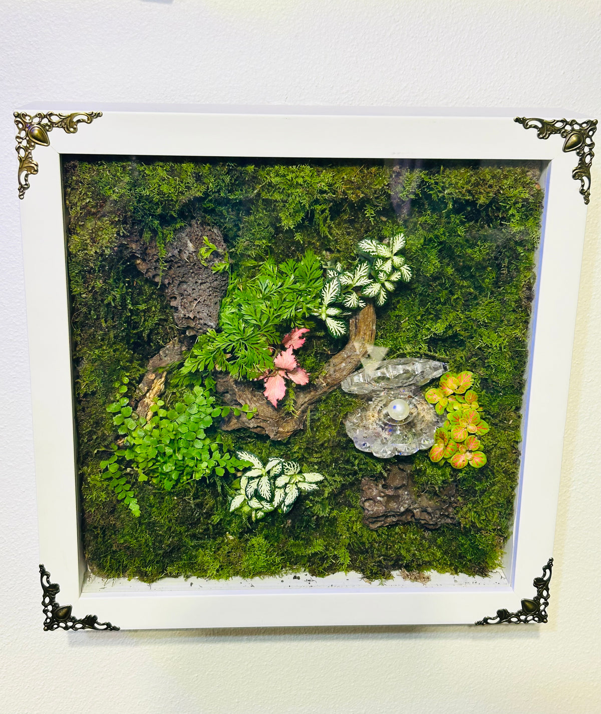 Living Picture — One-of-a-Kind Wall Terrarium