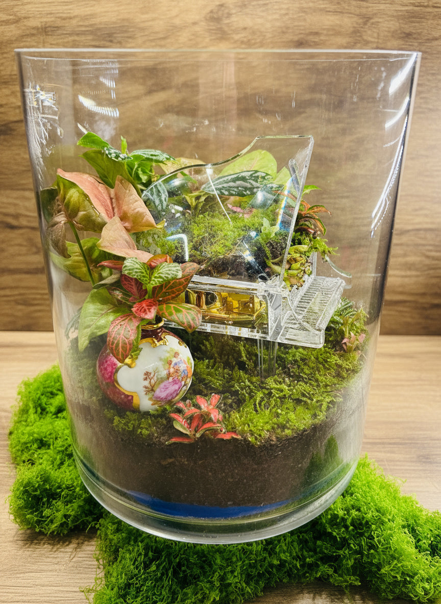 Melody of Time Terrarium