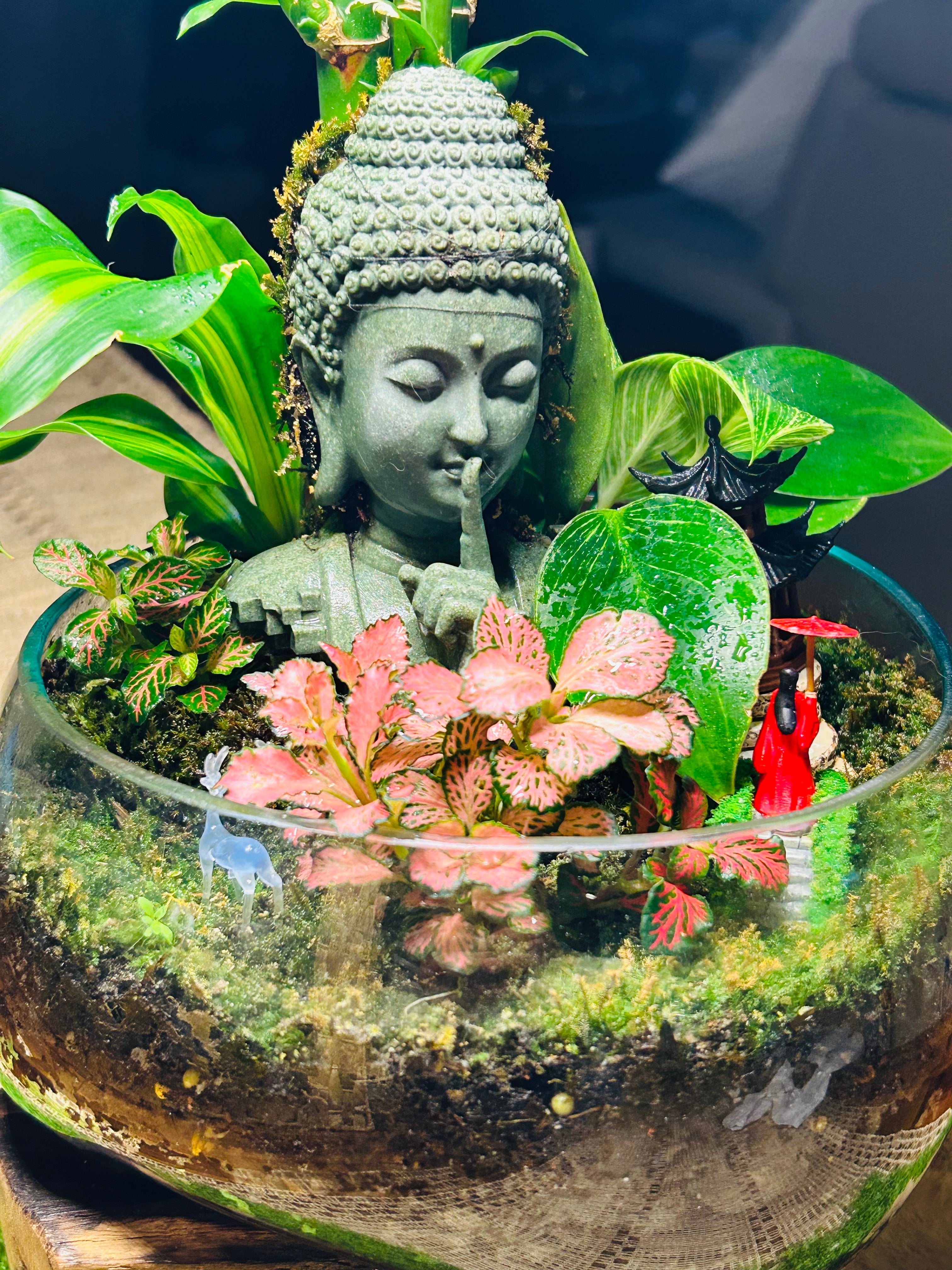 Serenity in Glass-Buddha Terrarium in driftwood/Handcrafted Zen Garden-Sydney