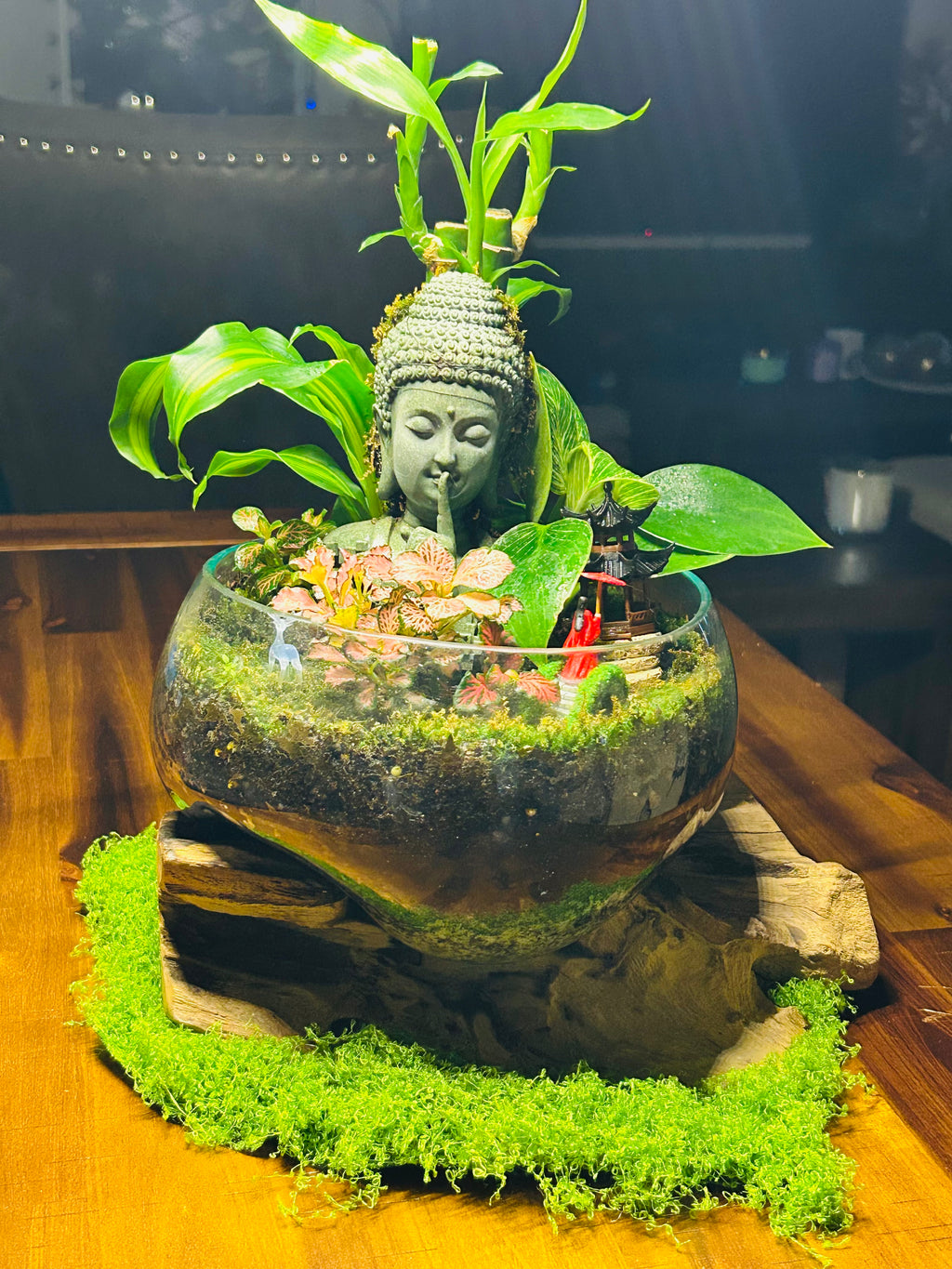 Serenity in Glass-Buddha Terrarium in driftwood/Handcrafted Zen Garden-Sydney
