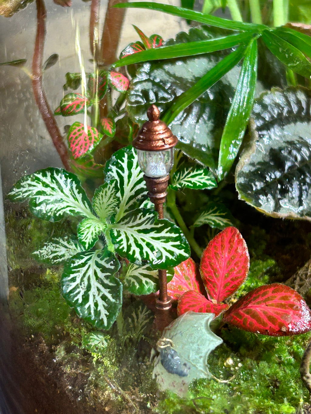 Paris After the Rain | Handmade Paris-Inspired Terrarium