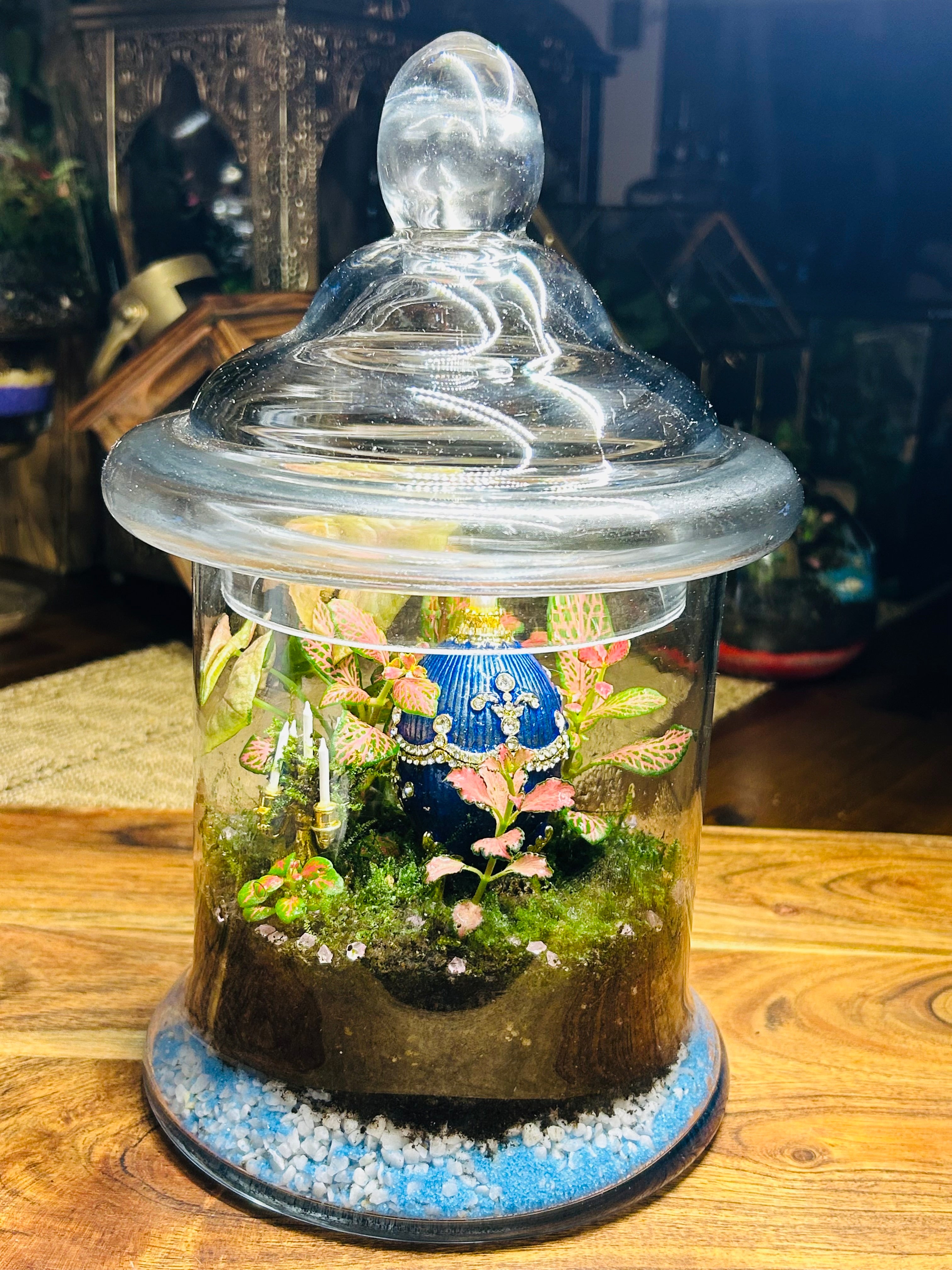 Fabergé Egg Terrarium