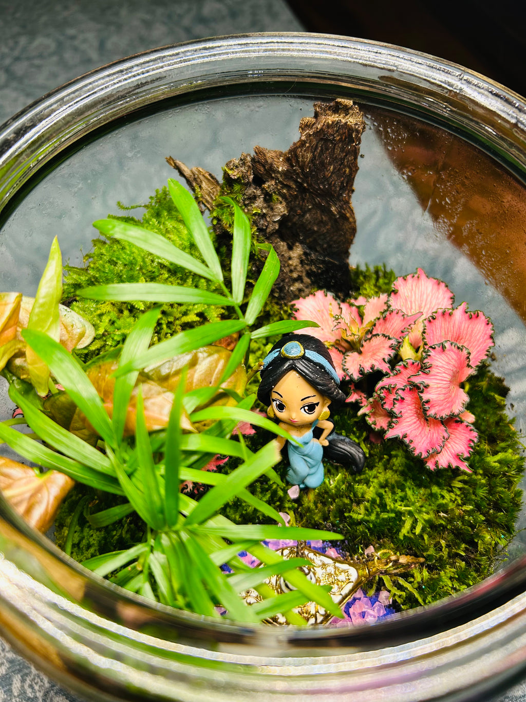 Jasmine & Aladdin Lamp Terrarium