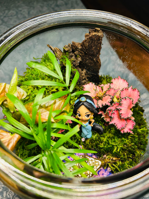 Aladdin Lamp Terrarium- Arabian Fantasy Miniature Garden Handmade Sydney