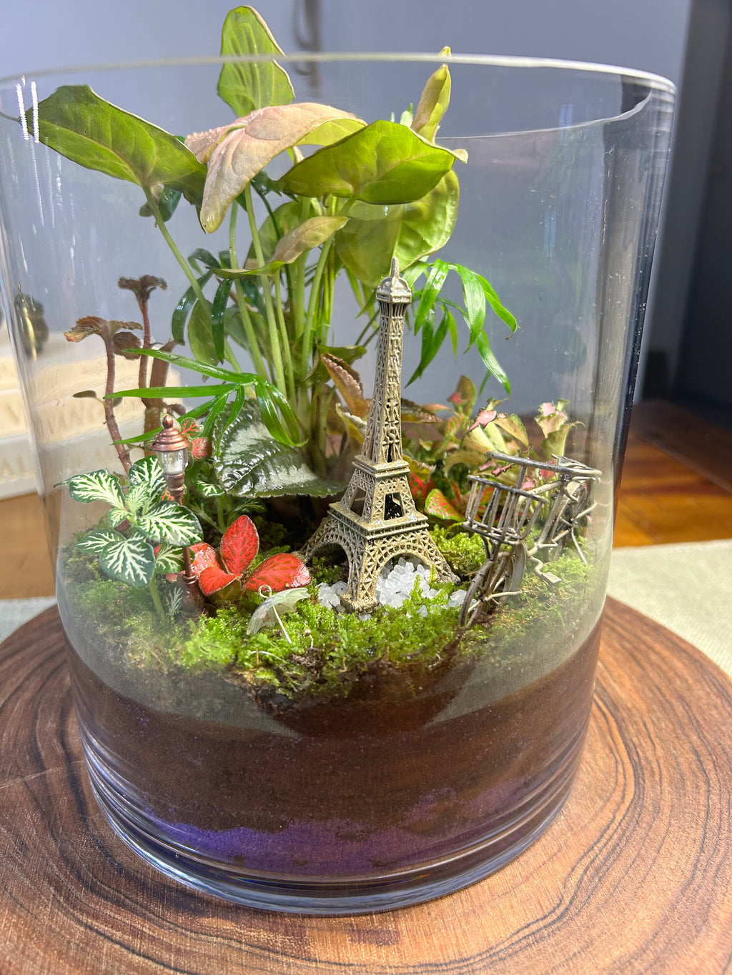 Paris After the Rain | Handmade Paris-Inspired Terrarium
