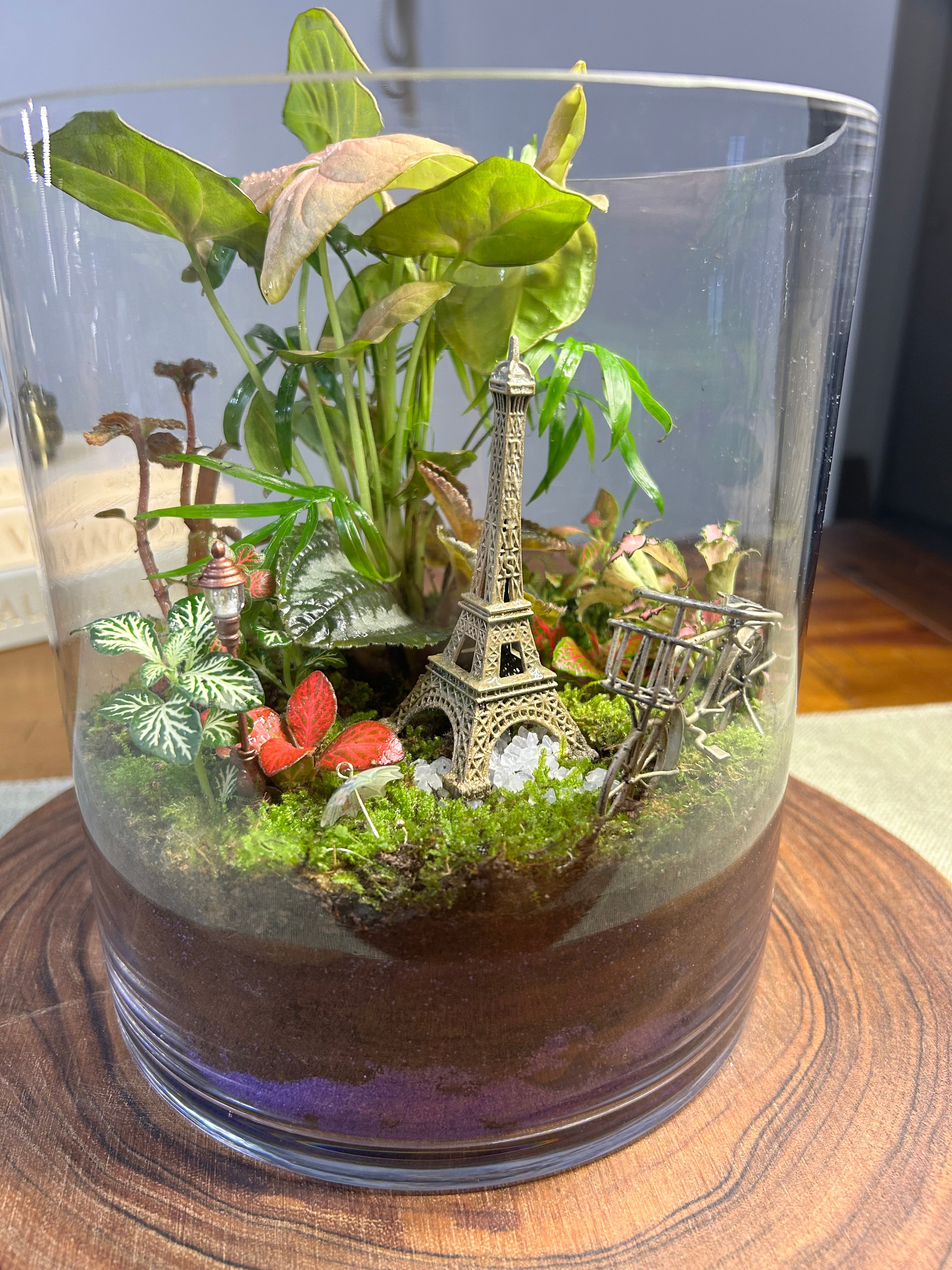 Paris After the Rain | Handmade Paris-Inspired Terrarium