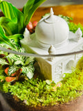The Palace Garden | Taj Mahal-Inspired Terrarium