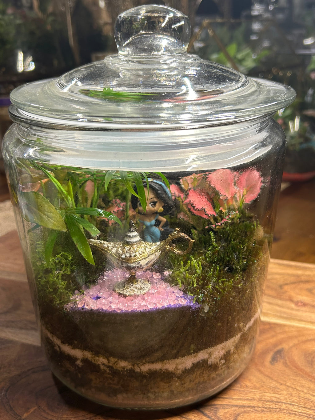 Jasmine & Aladdin Lamp Terrarium