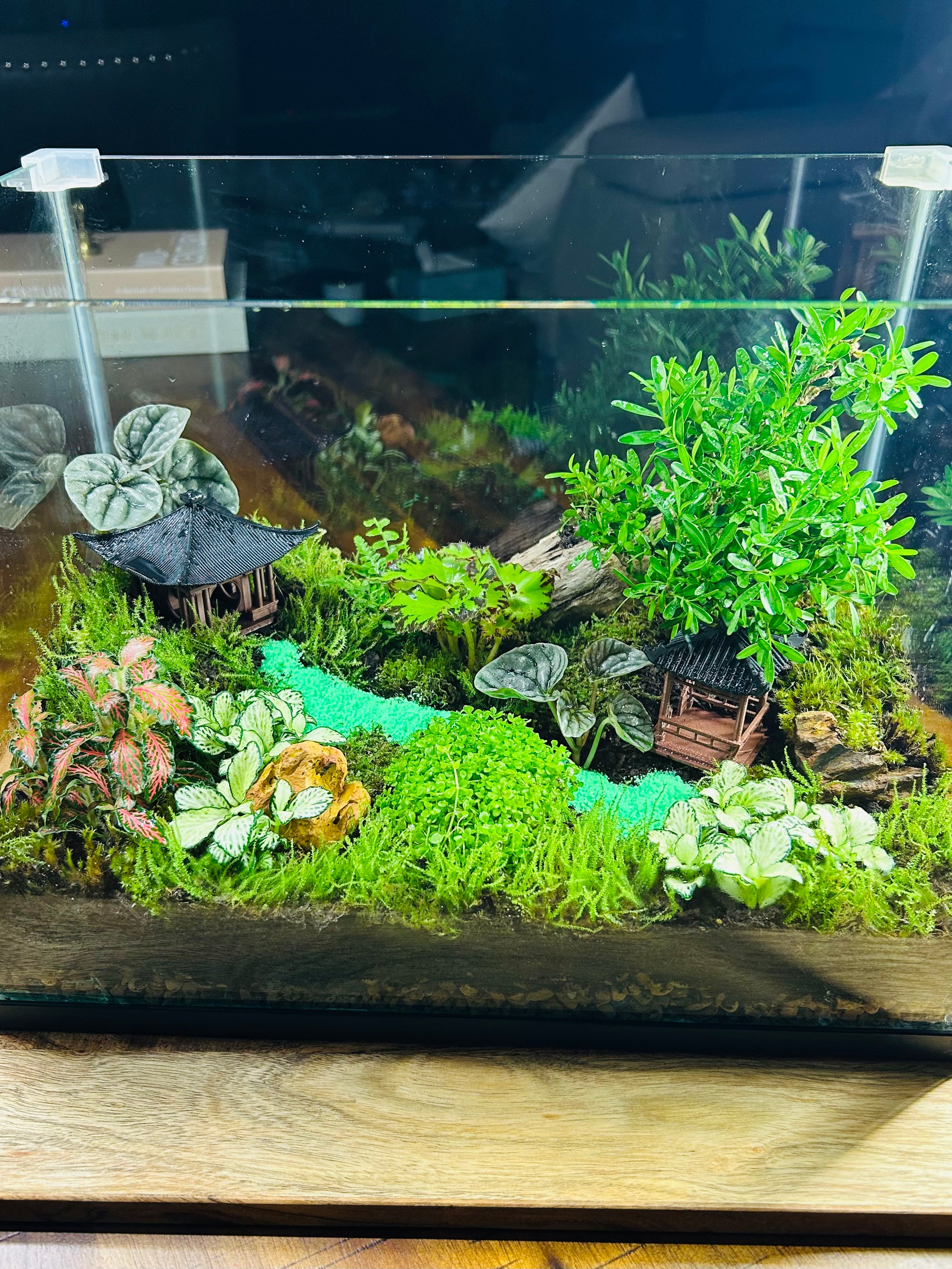 Zen Garden Bonsai/ Monte Carlo Fish Tank Terrarium