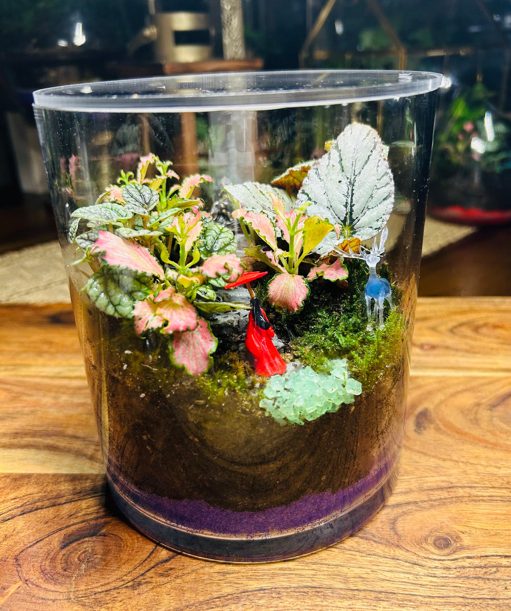 Lady in Red & Buddha Glow in the Dark Terrarium