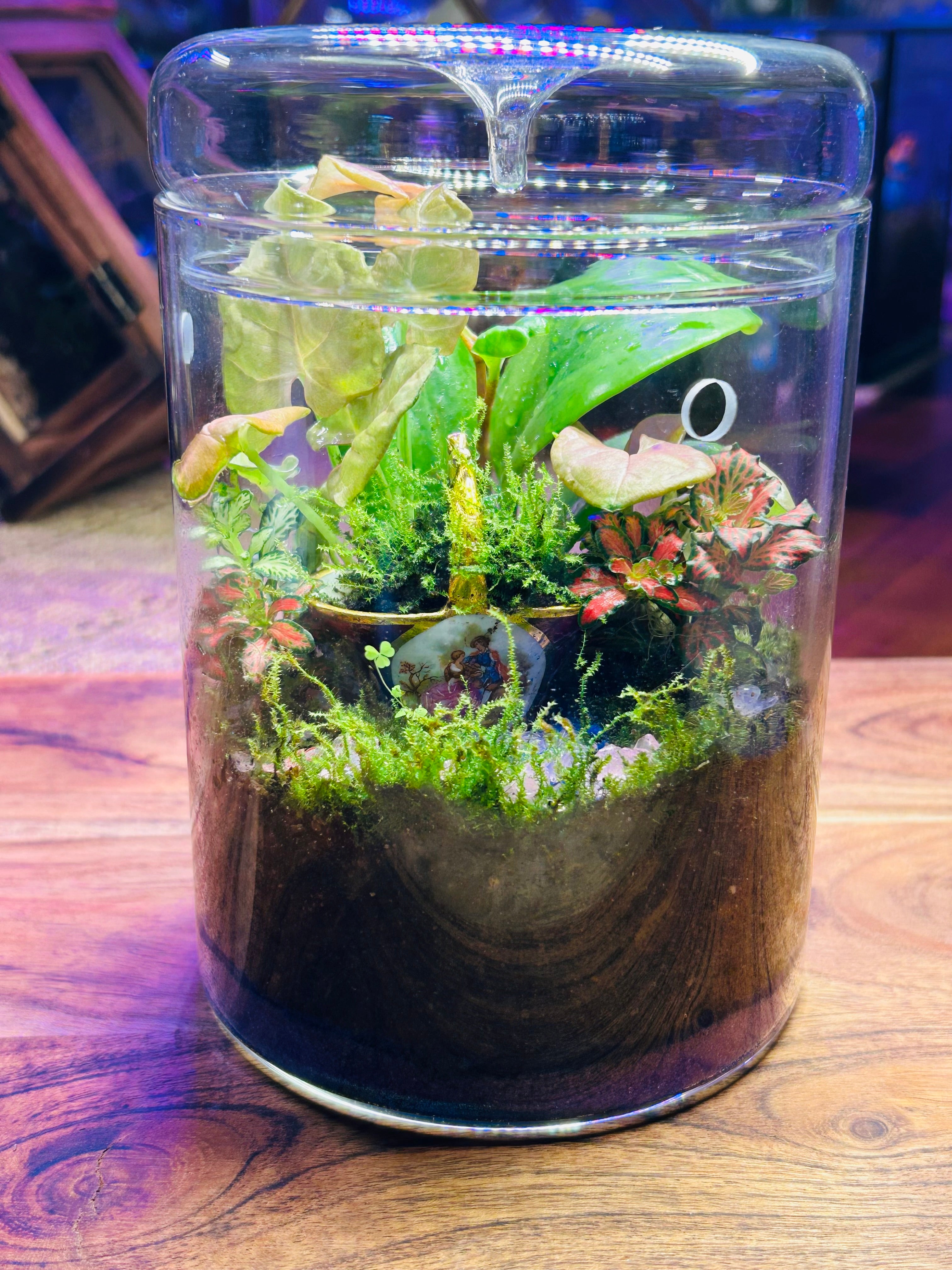 Antique Limoges Porcelain Basket Terrarium with Glowing Pink Pebbles