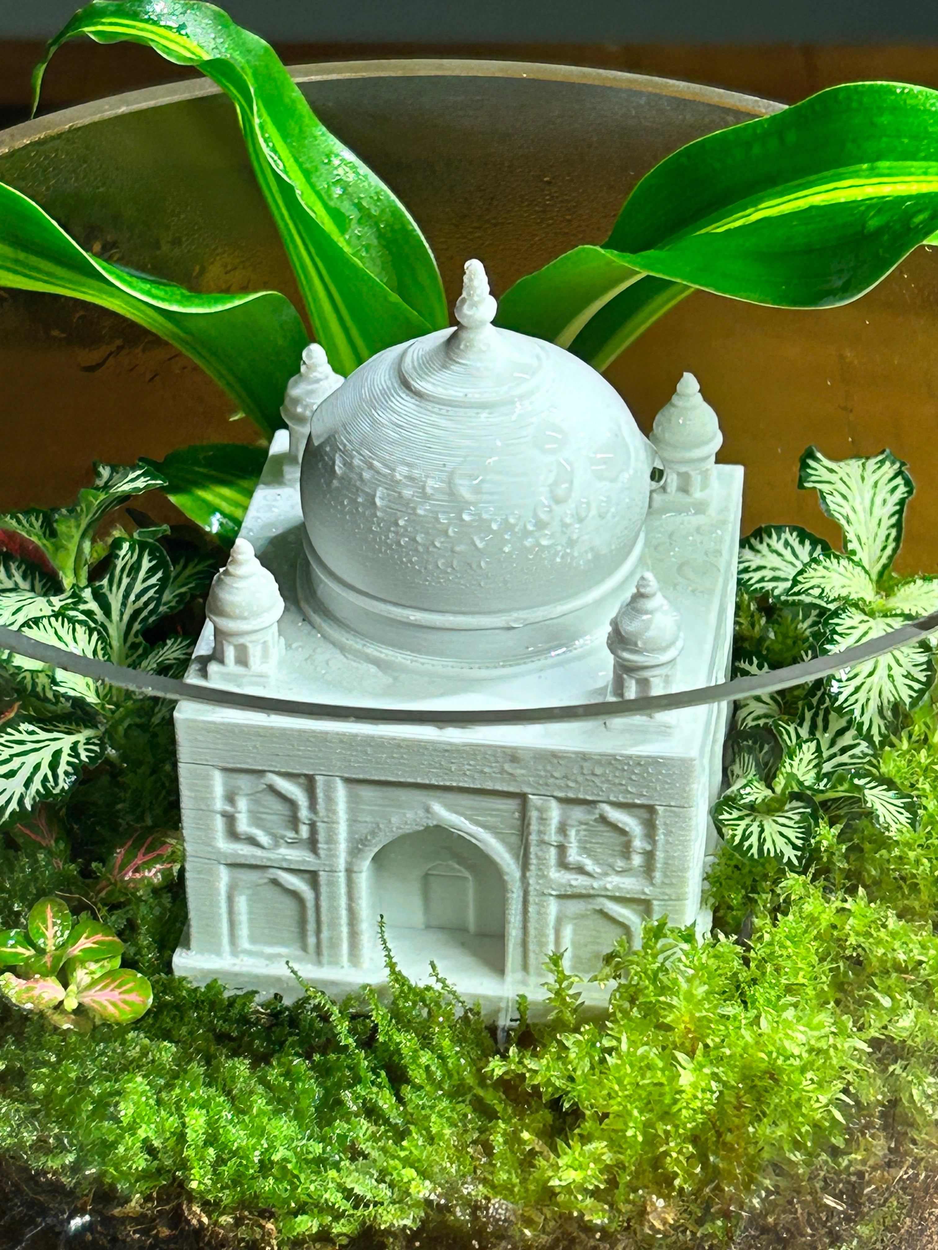Custom Terrarium – Designed Just for You