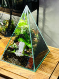 Crystal Pyramid Terrarium – Handmade Moss Garden Gift Sydney Unique Decor