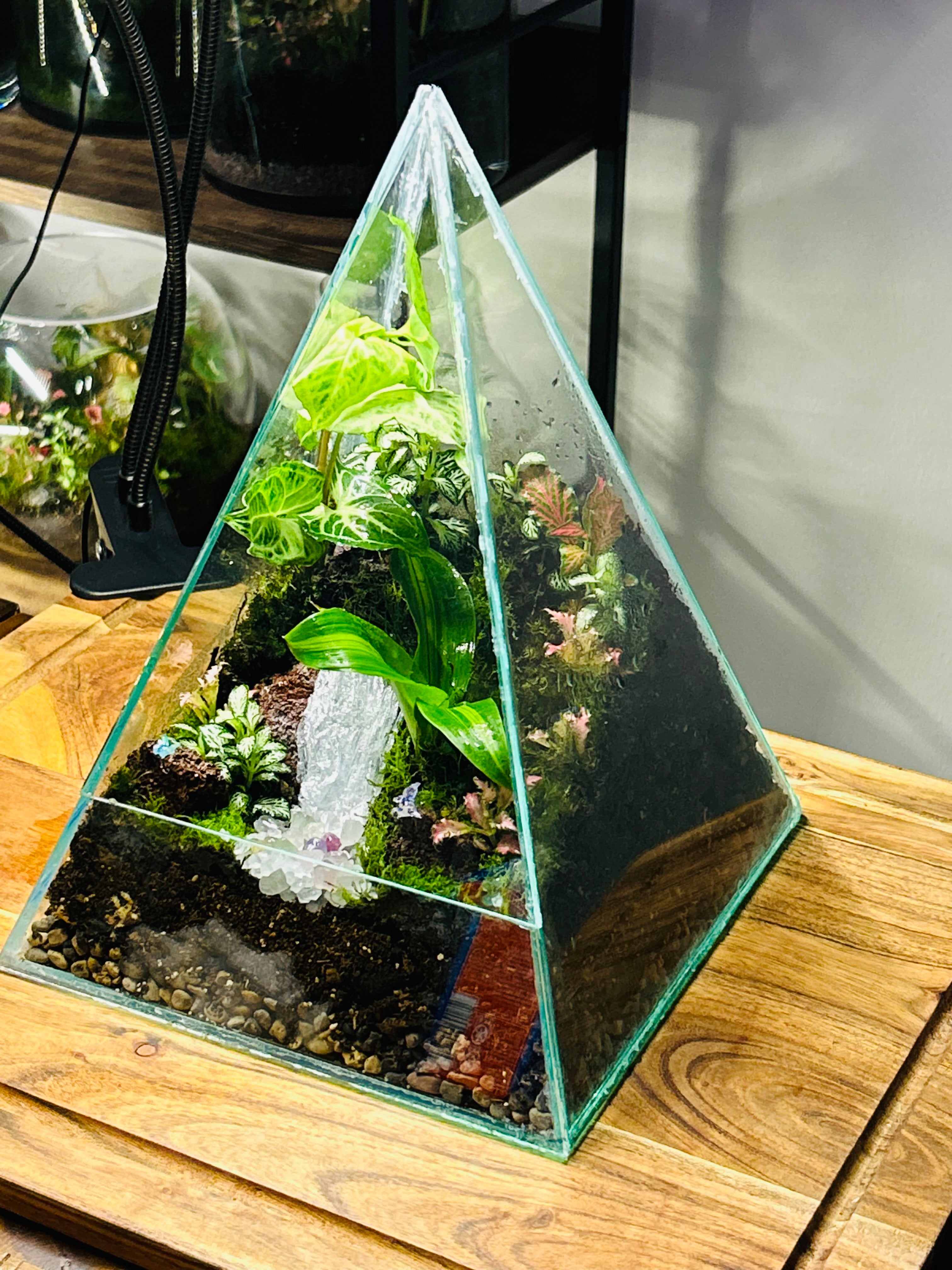 Crystal Pyramid Terrarium – Handmade Living Miniature World (Sydney)  You don’t buy this terrarium. You adopt a tiny living world.