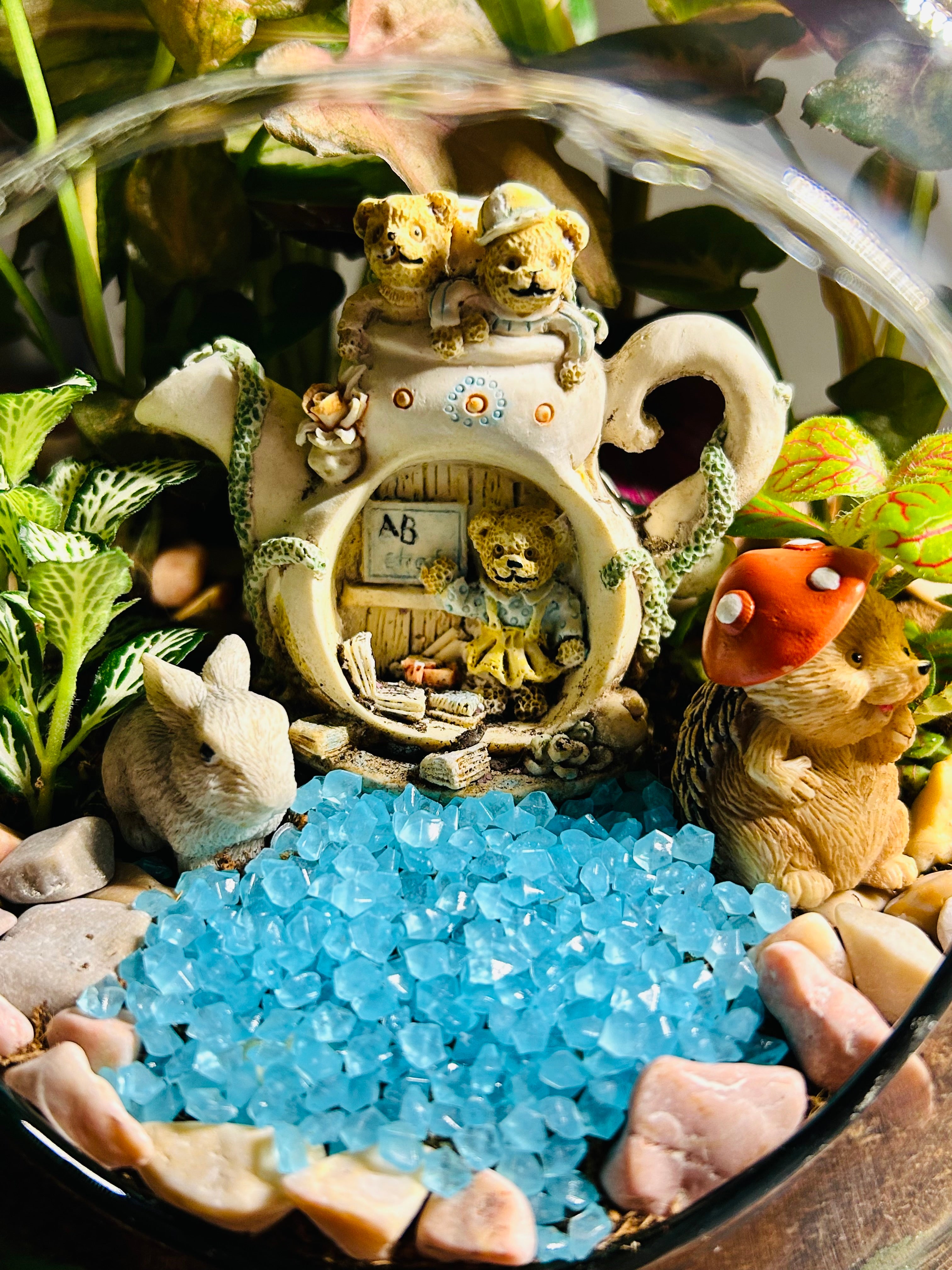 custom plant terrariums Custom Terrarium – Designed Just for You – Terra Vera