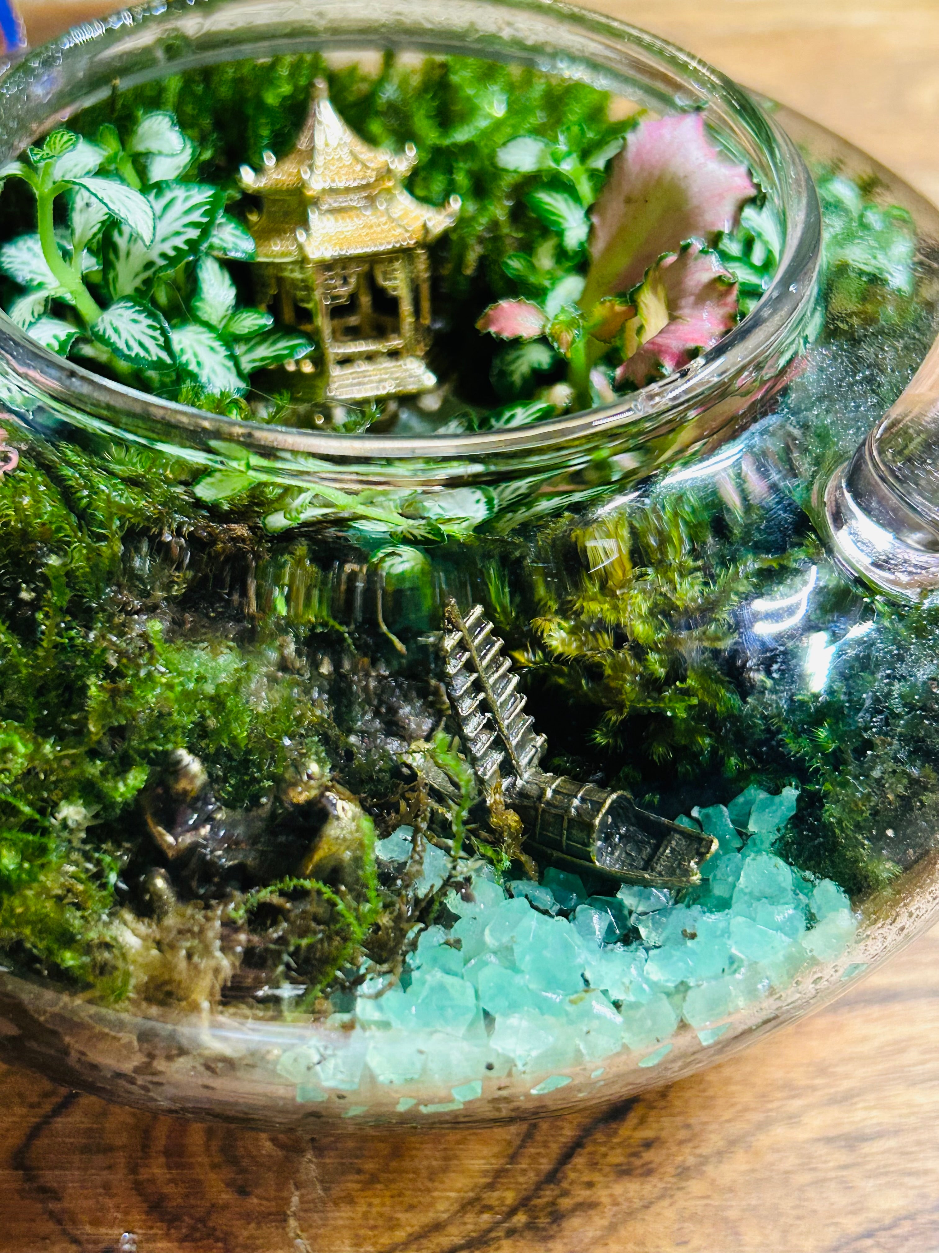 Glow in the Dark Butterfly Teapot with Temple & Boat Terrarium