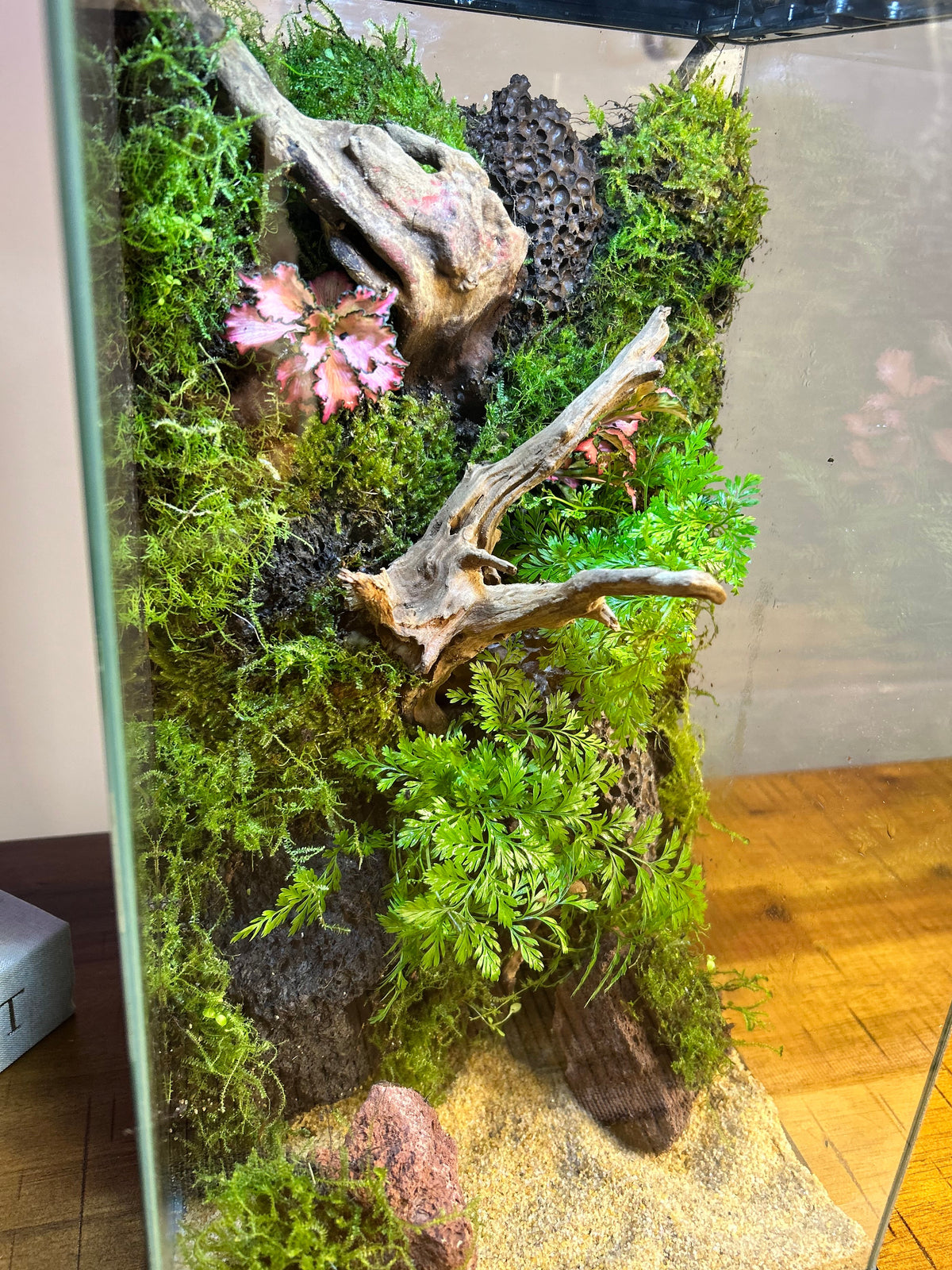 Second Life — Vertical Living Terrarium