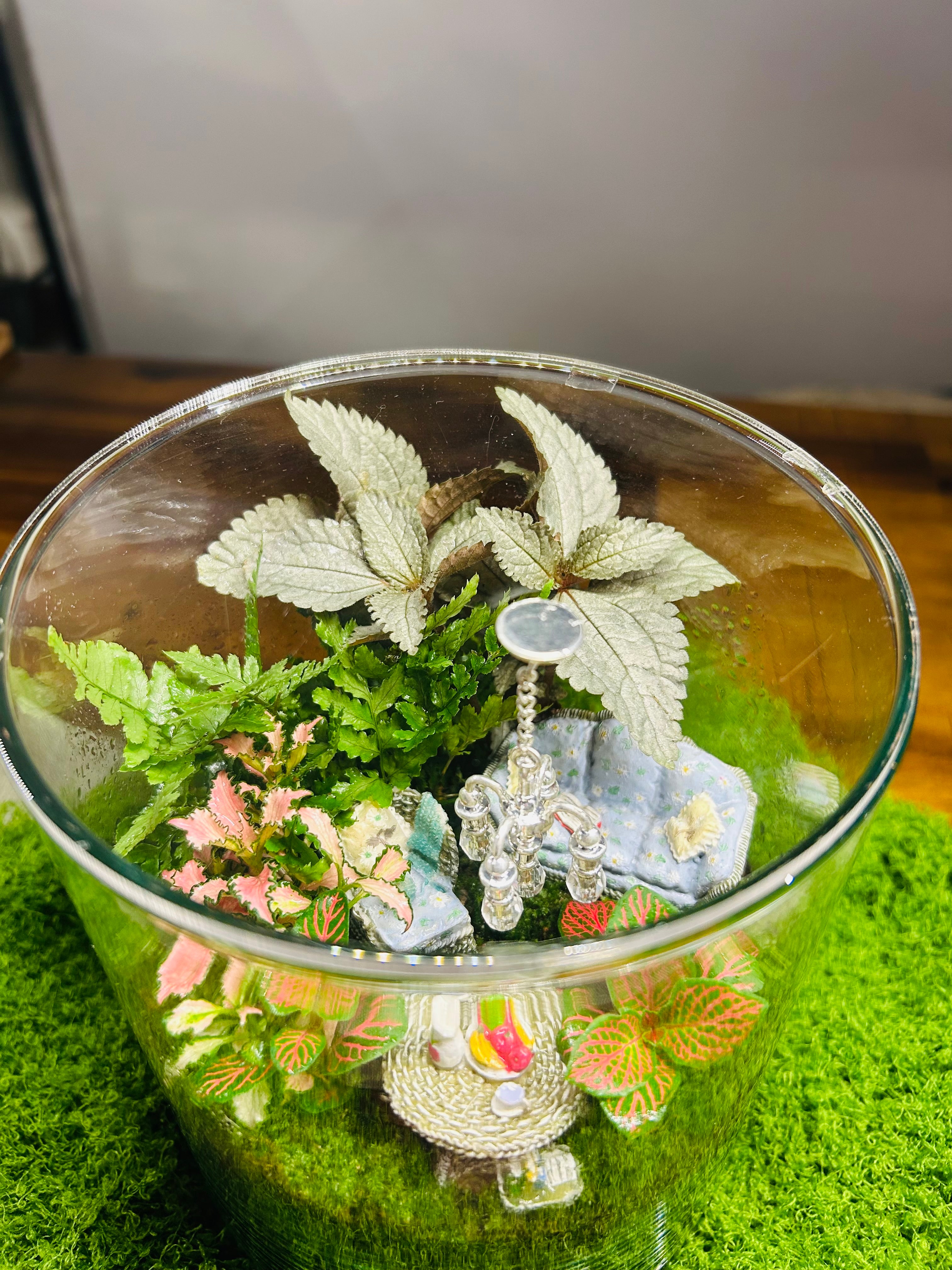 Luxury Living Room Terrarium Gift | Handmade Miniature Garden for Living Room Decor Sydney