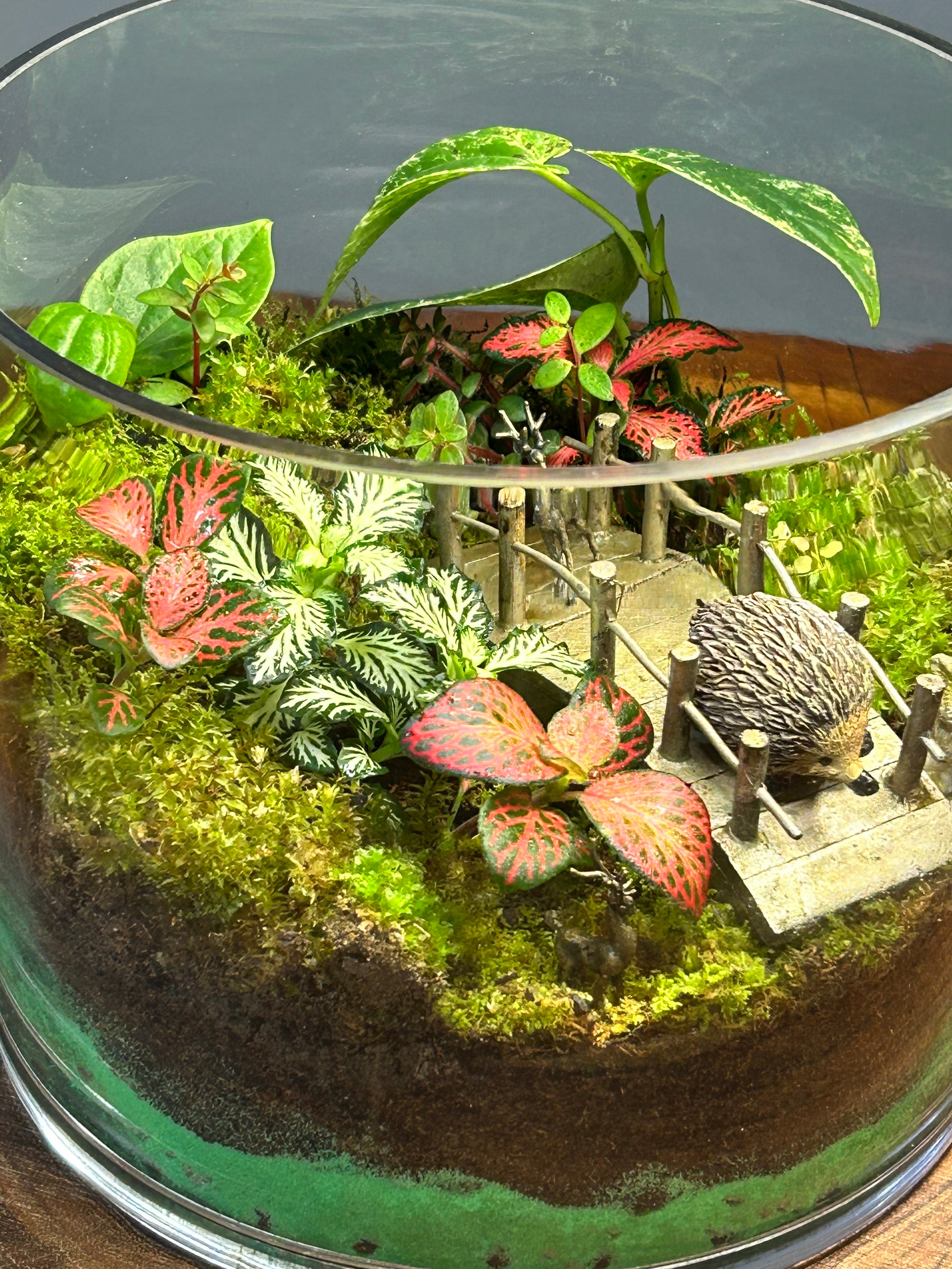 The Forest Crossing | Handmade Living Terrarium