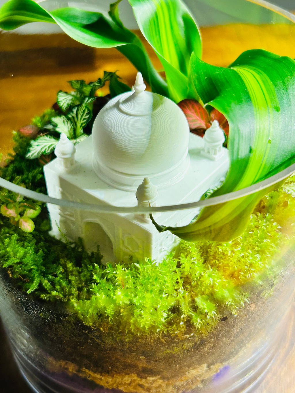 The Palace Garden | Taj Mahal-Inspired Terrarium