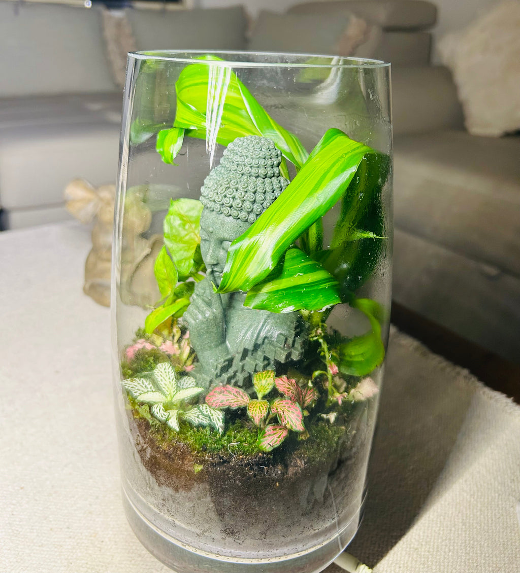 Serenity Garden/Buddha closed terrarium/Terra Vera