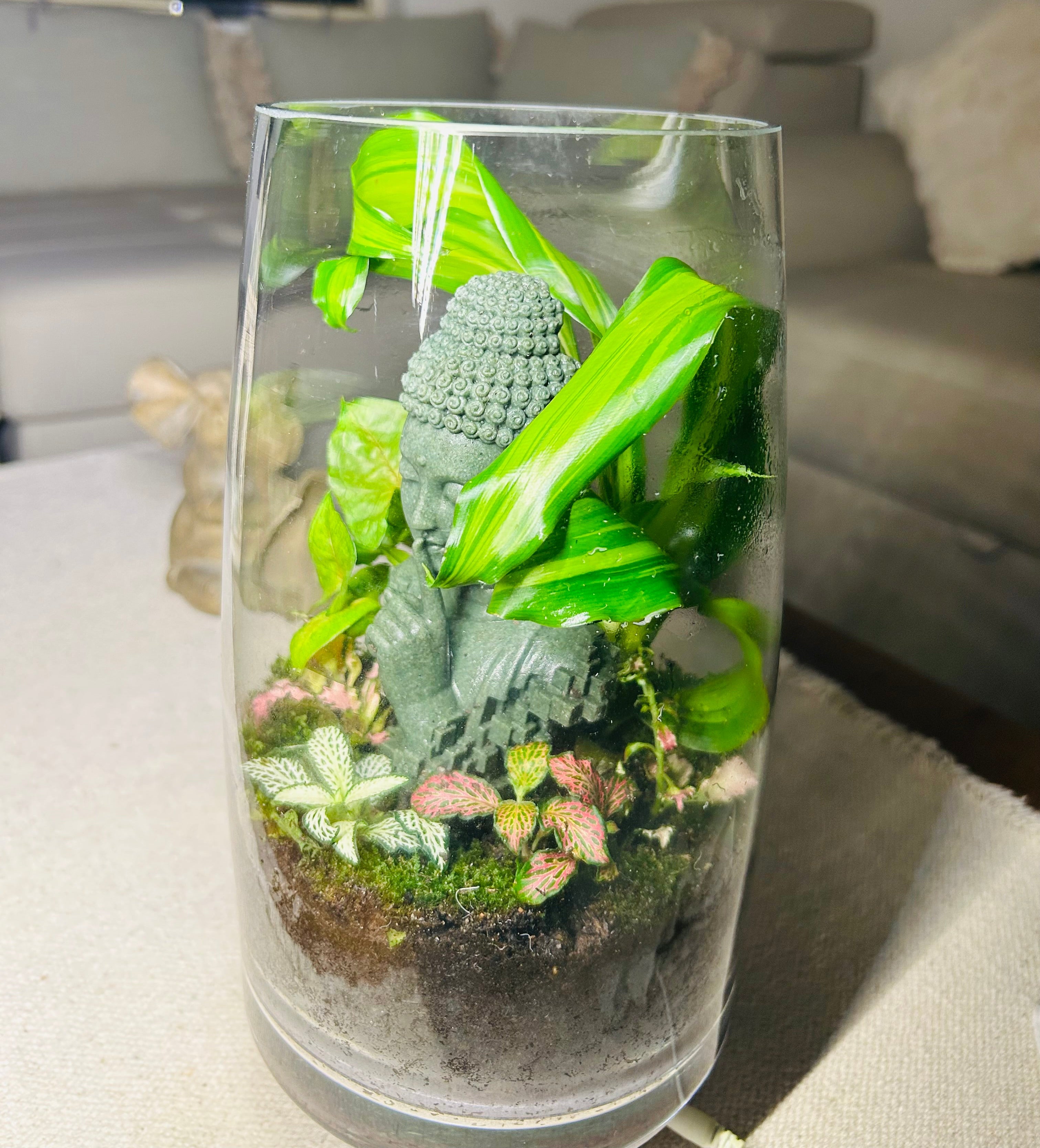 Serenity Garden/Buddha closed terrarium/Terra Vera