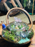 Glow in the Dark Butterfly Teapot with Temple & Boat Terrarium