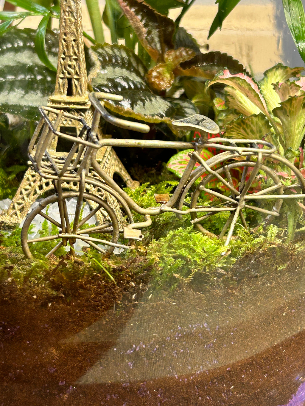Paris After the Rain | Handmade Paris-Inspired Terrarium