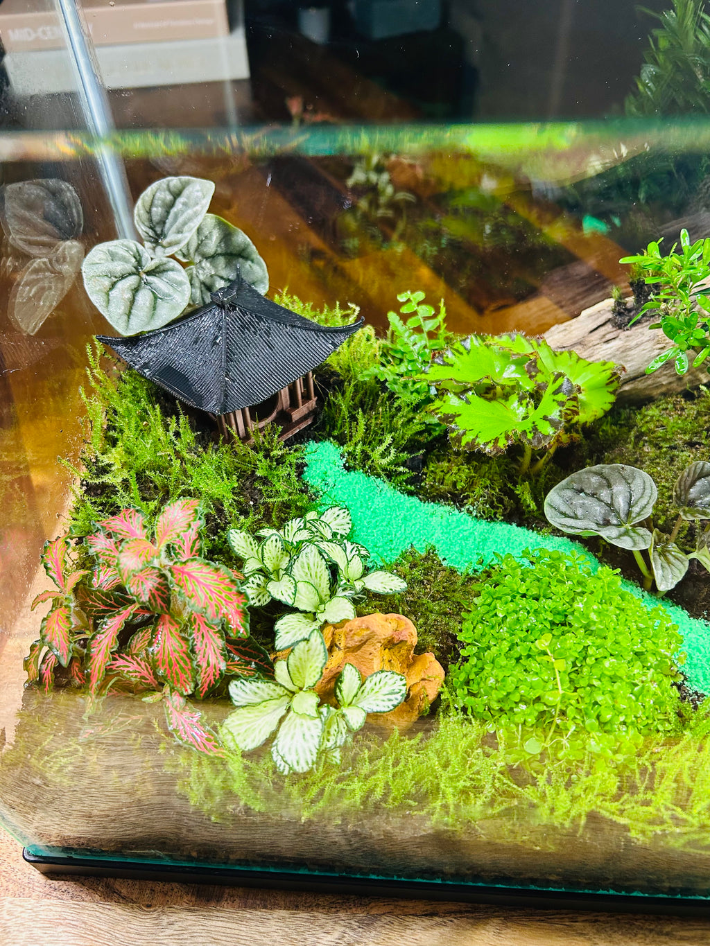 Zen Garden Bonsai/ Monte Carlo Fish Tank Terrarium