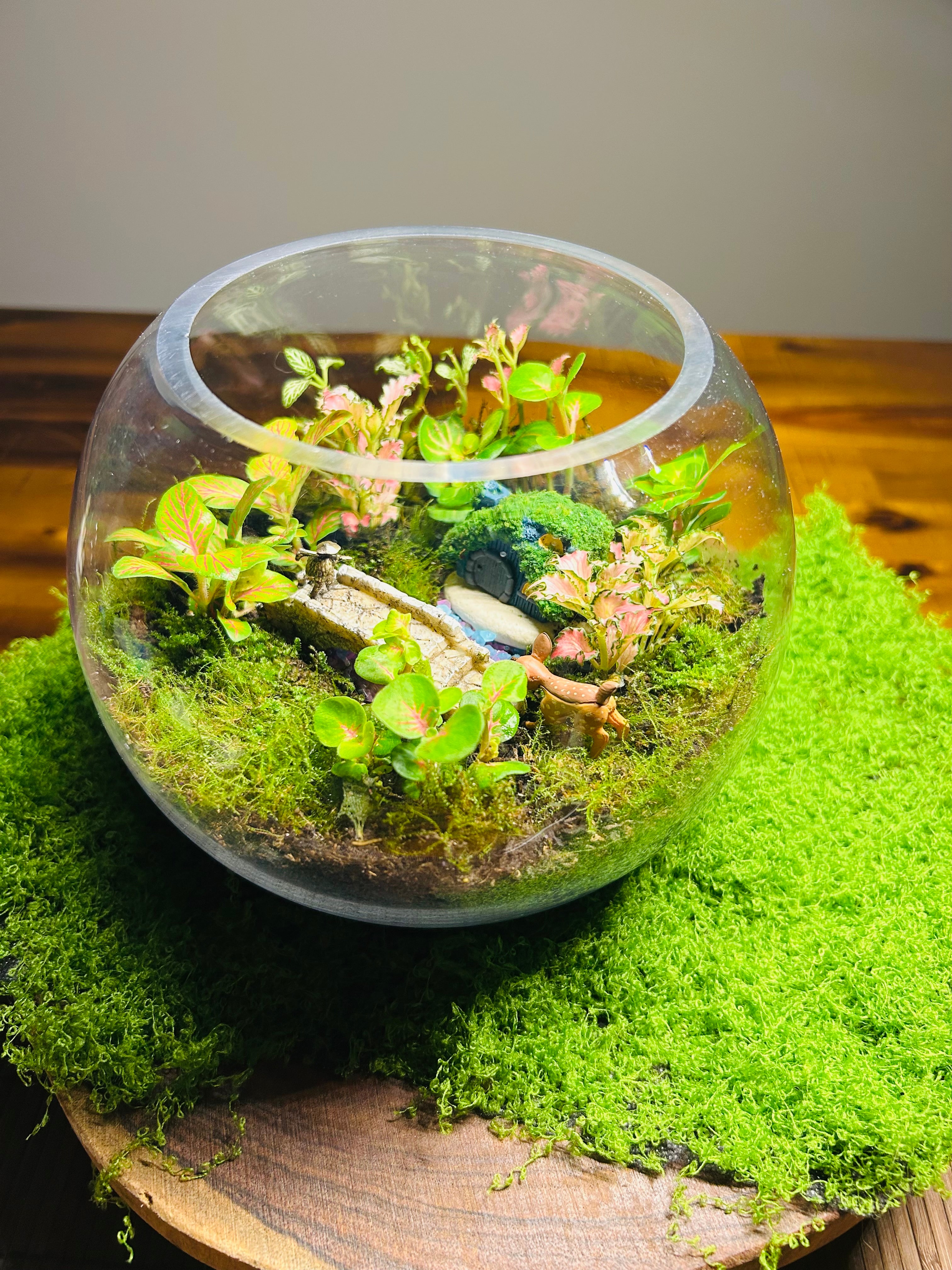 The Glowbridge Garden -Enchanted Glow Garden Terrarium – Miniature Fairy Bridge World with Living Plants