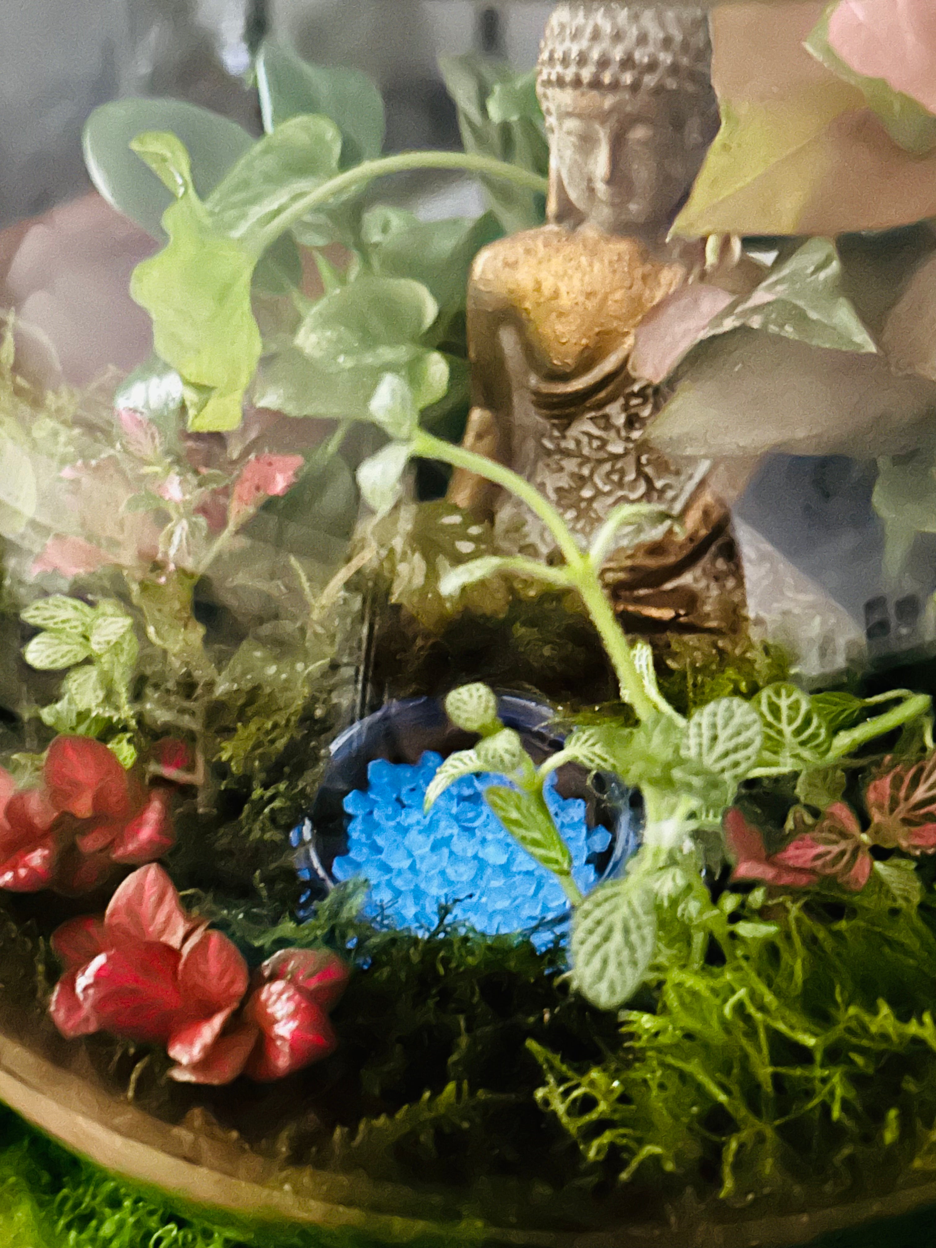 Buddha Terrarium -Zen Indoor Plan with Glowing Pond | Handmade Sydney