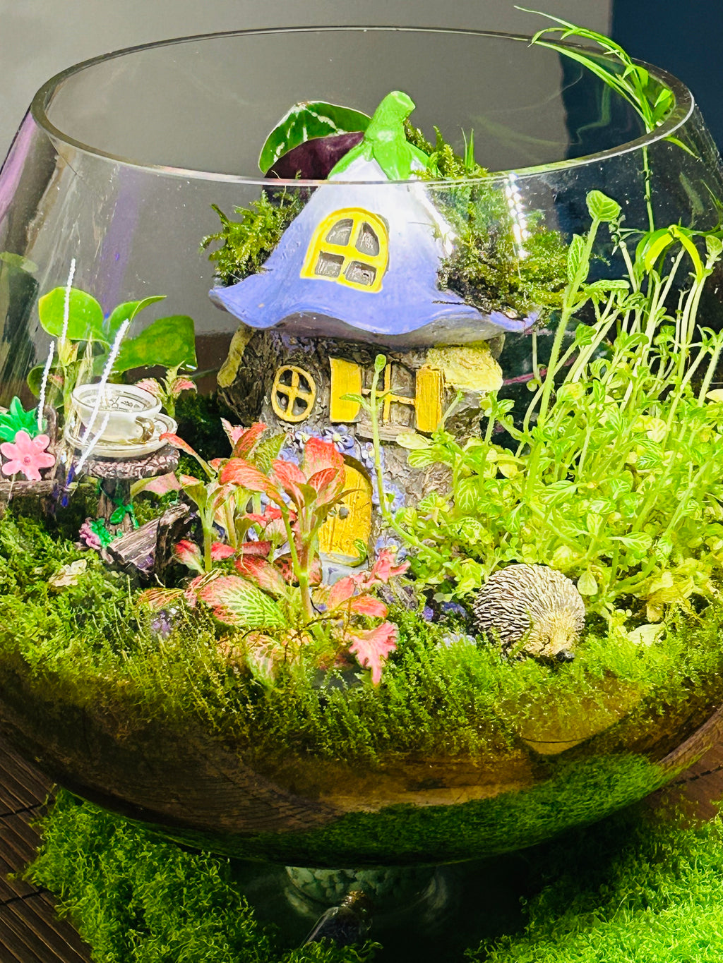 Mushroom Cottage Terrarium – Whimsical FAiry Garden Handmade Miniature World