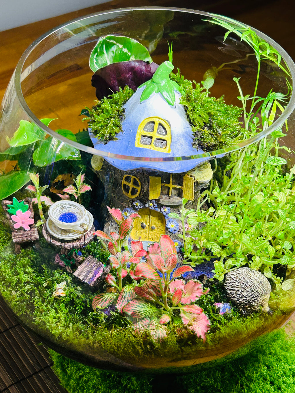 Mushroom Cottage Terrarium – Whimsical FAiry Garden Handmade Miniature World