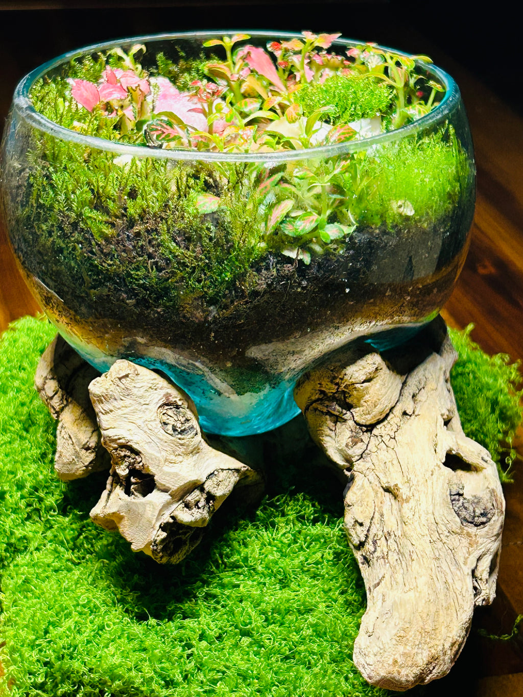 Enchanted Pathway Terrarium-driftwood glass blown terrarium