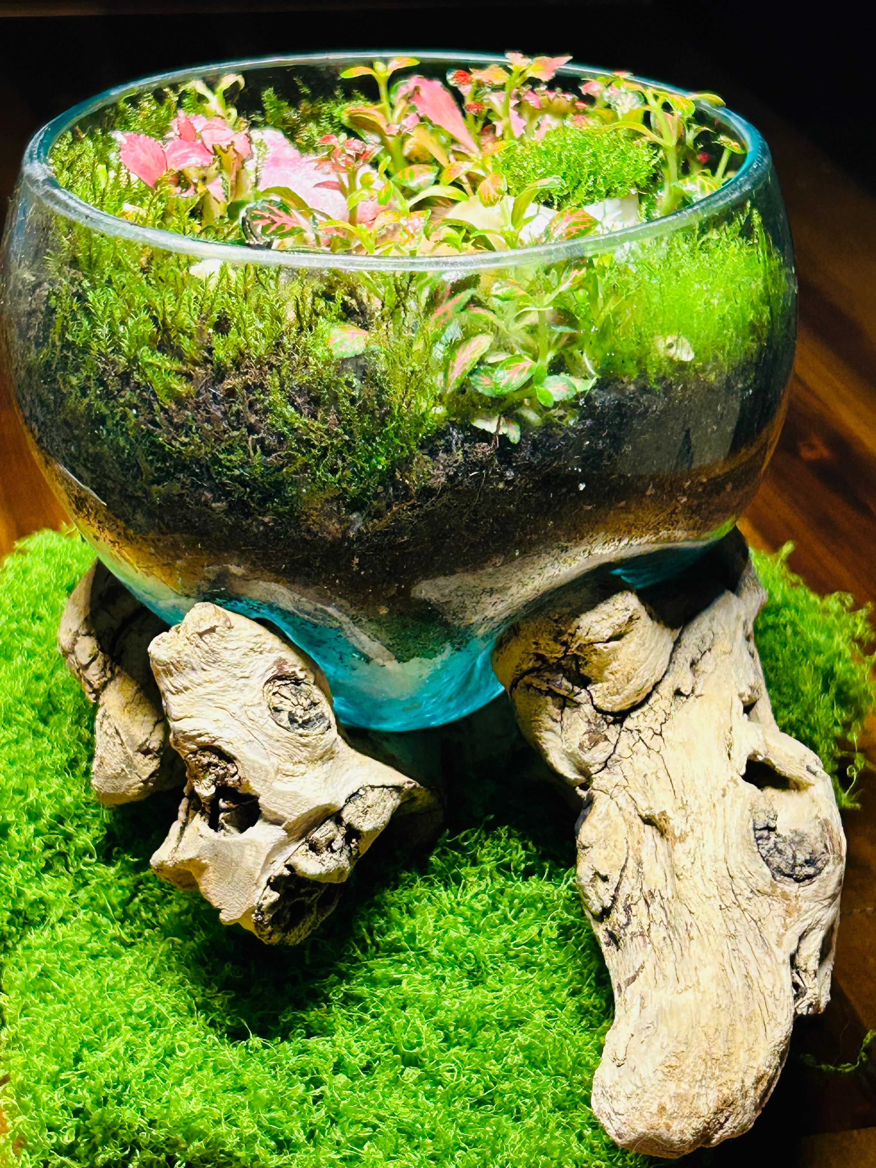 Enchanted Pathway Terrarium-driftwood glass blown terrarium