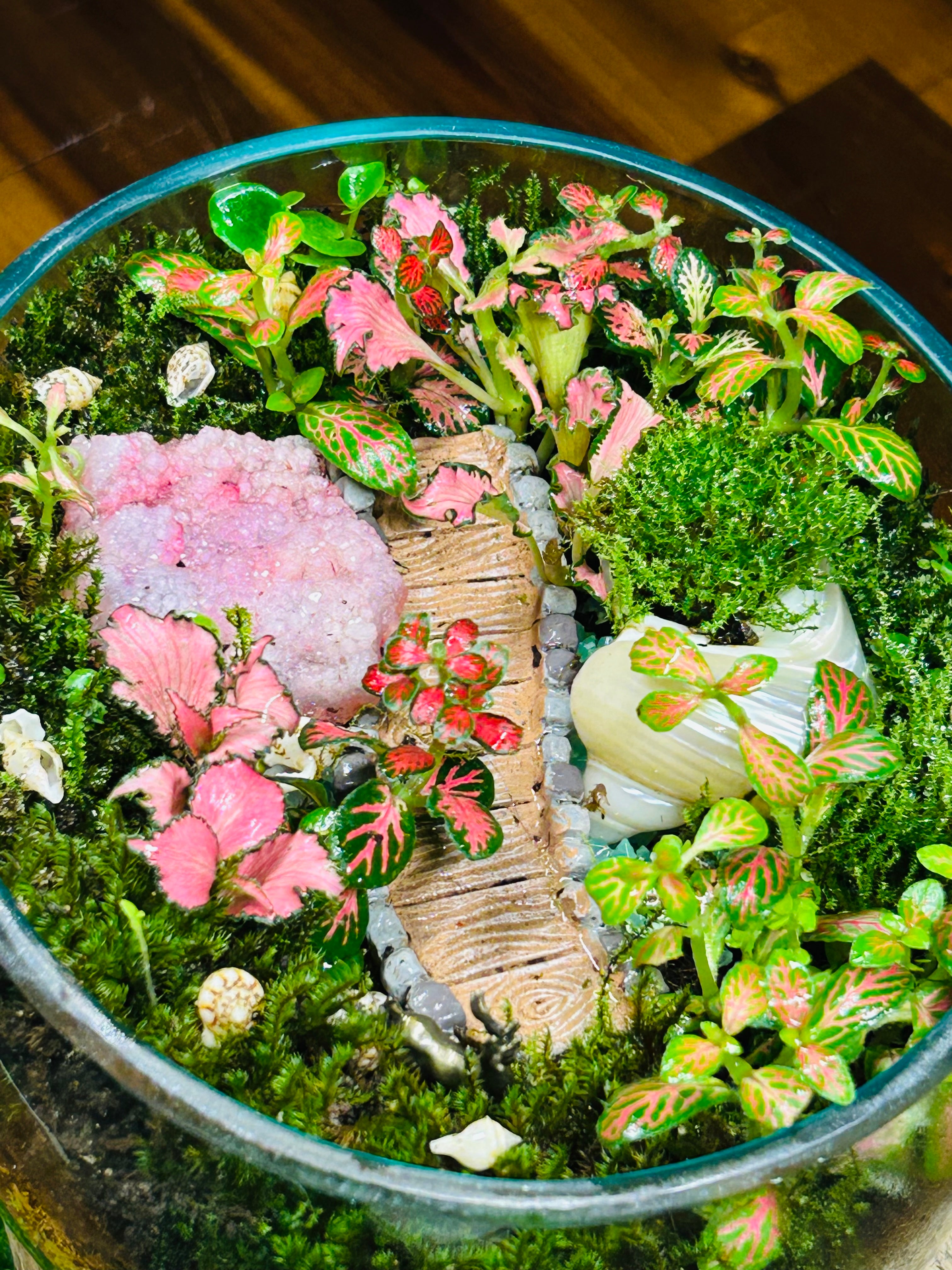 Enchanted Pathway Terrarium-driftwood glass blown terrarium