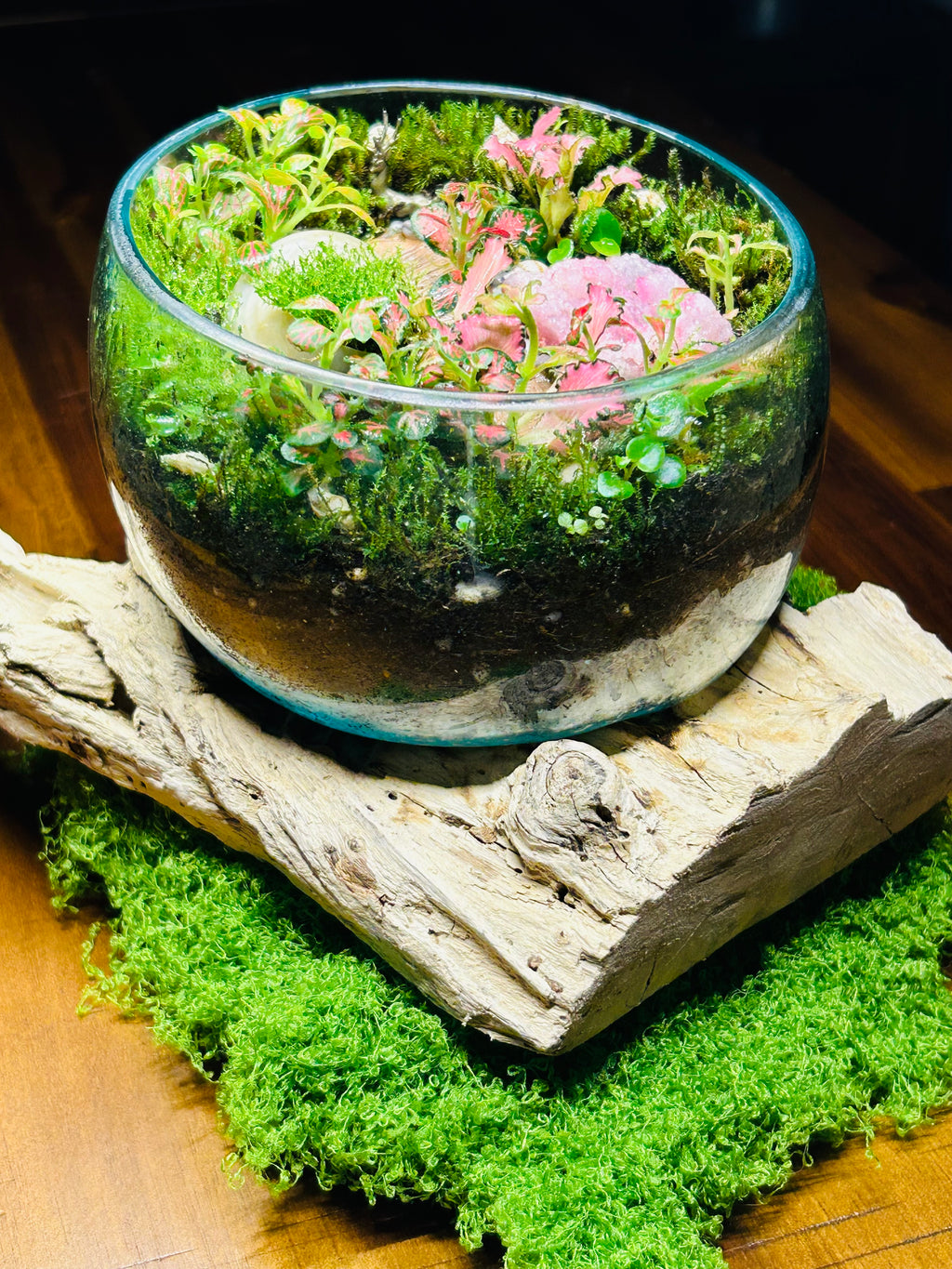 Enchanted Pathway Terrarium-driftwood glass blown terrarium