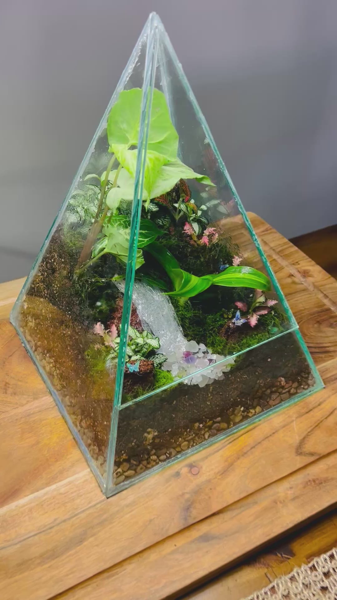 Crystal Pyramid Terrarium – Handmade Living Miniature World (Sydney)  You don’t buy this terrarium. You adopt a tiny living world.