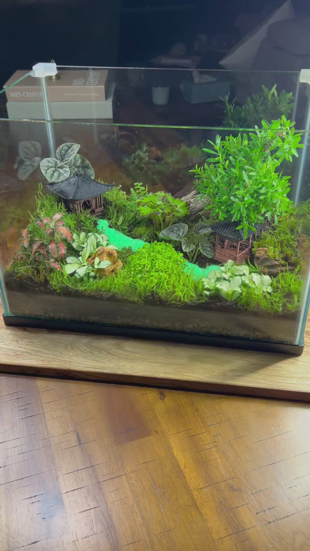 Zen Garden Bonsai/ Monte Carlo Fish Tank Terrarium