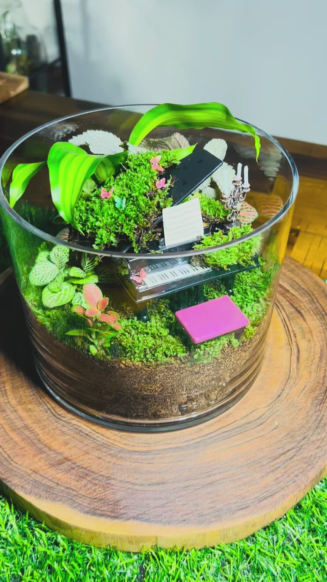 Nocturne de Vera – Piano Terrarium | Luxury Moss Garden Gift Sydney