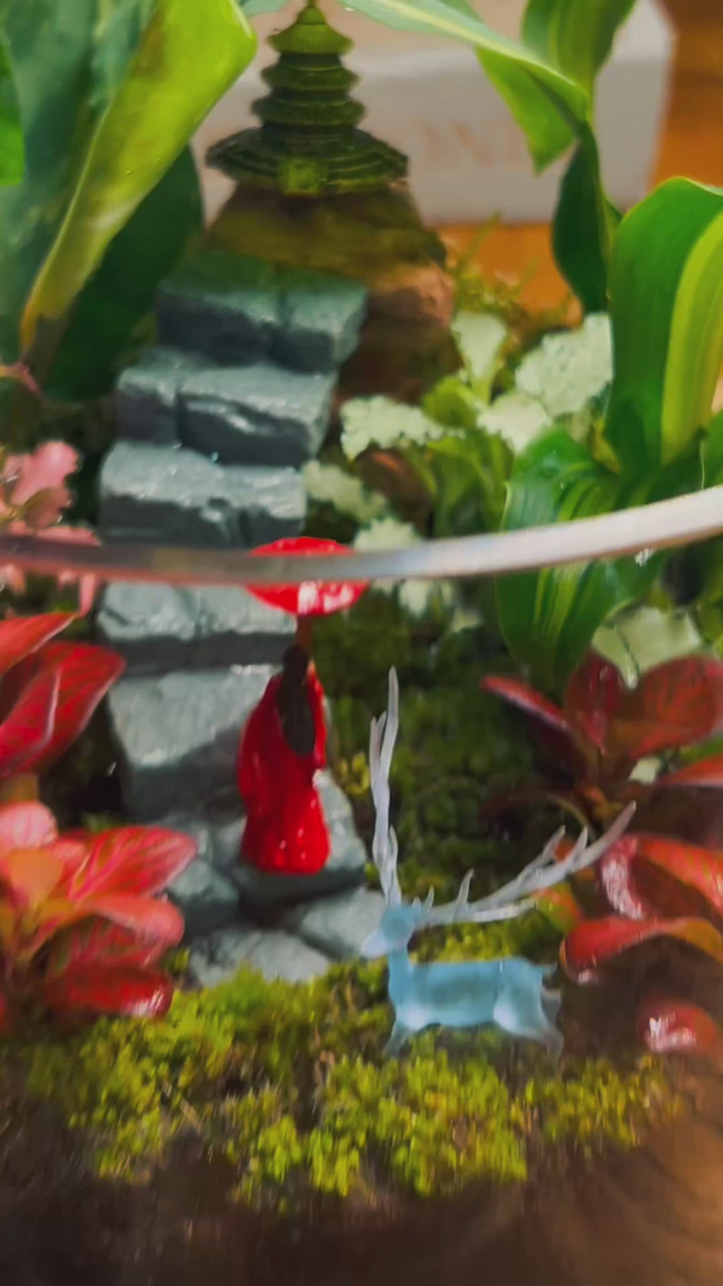 The Hidden Temple Journey – Lady in Red Terrarium