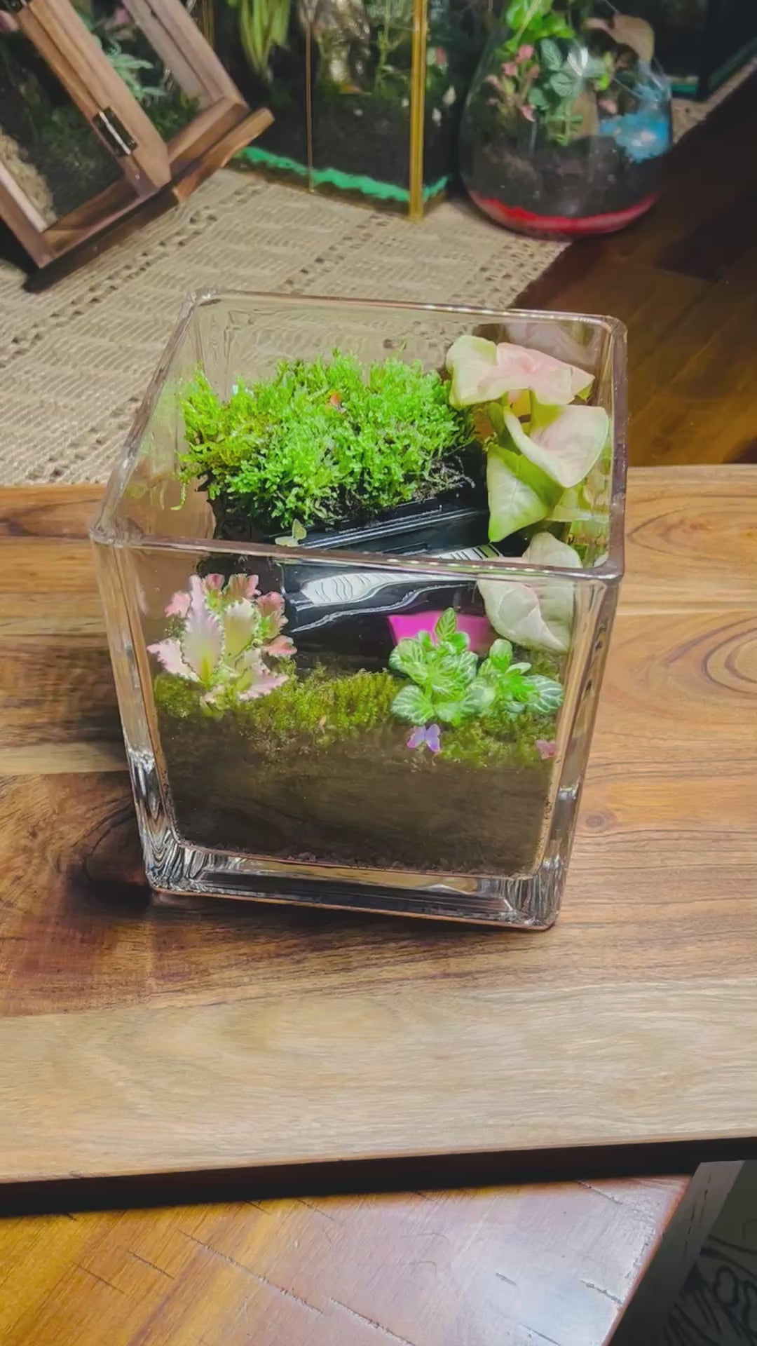Black Piano Terrarium
